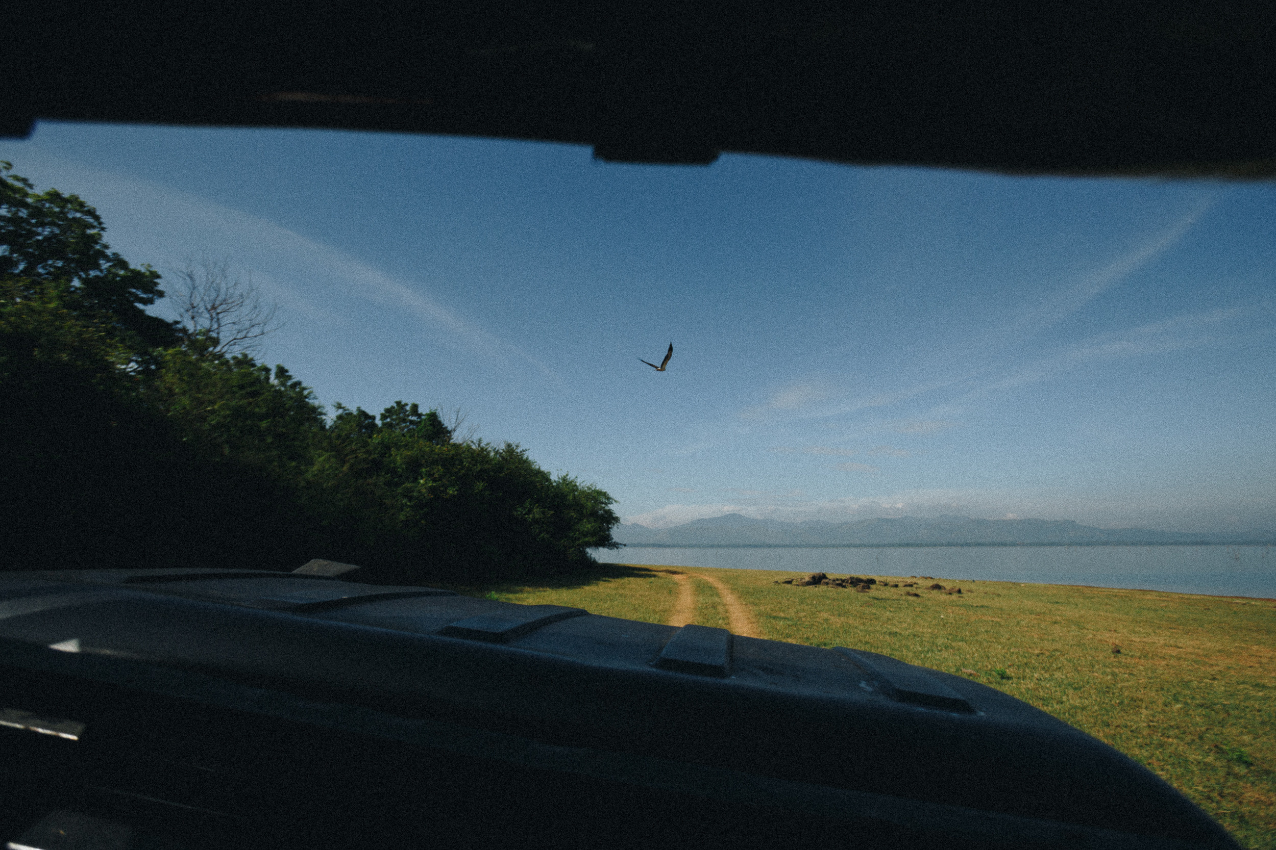 Family trip to Ella (Sri Lanka). Marina Kanygina (Fedoseeva) photography