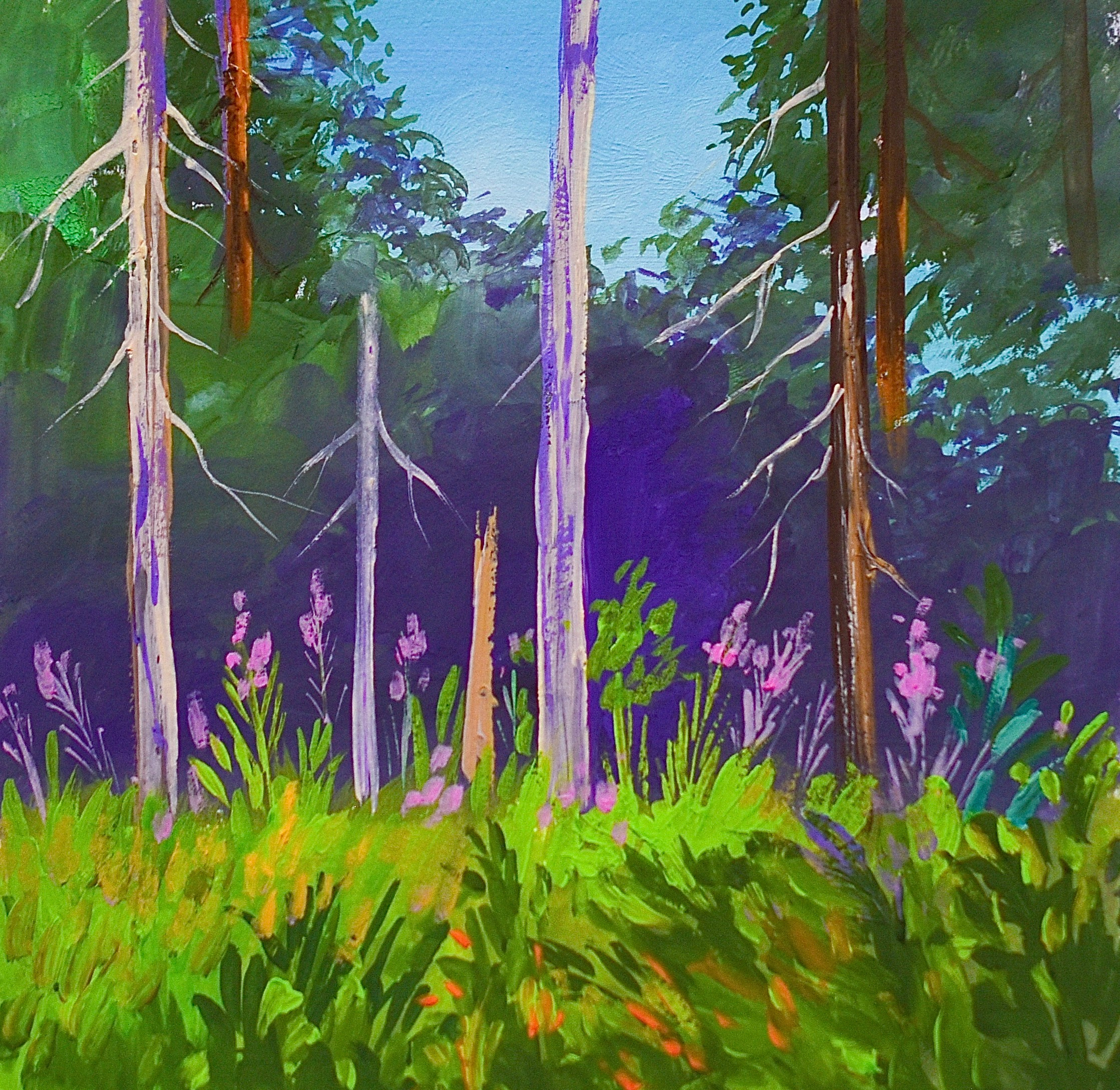 Иллюстрации. Фотограф в Санкт-Петербурге