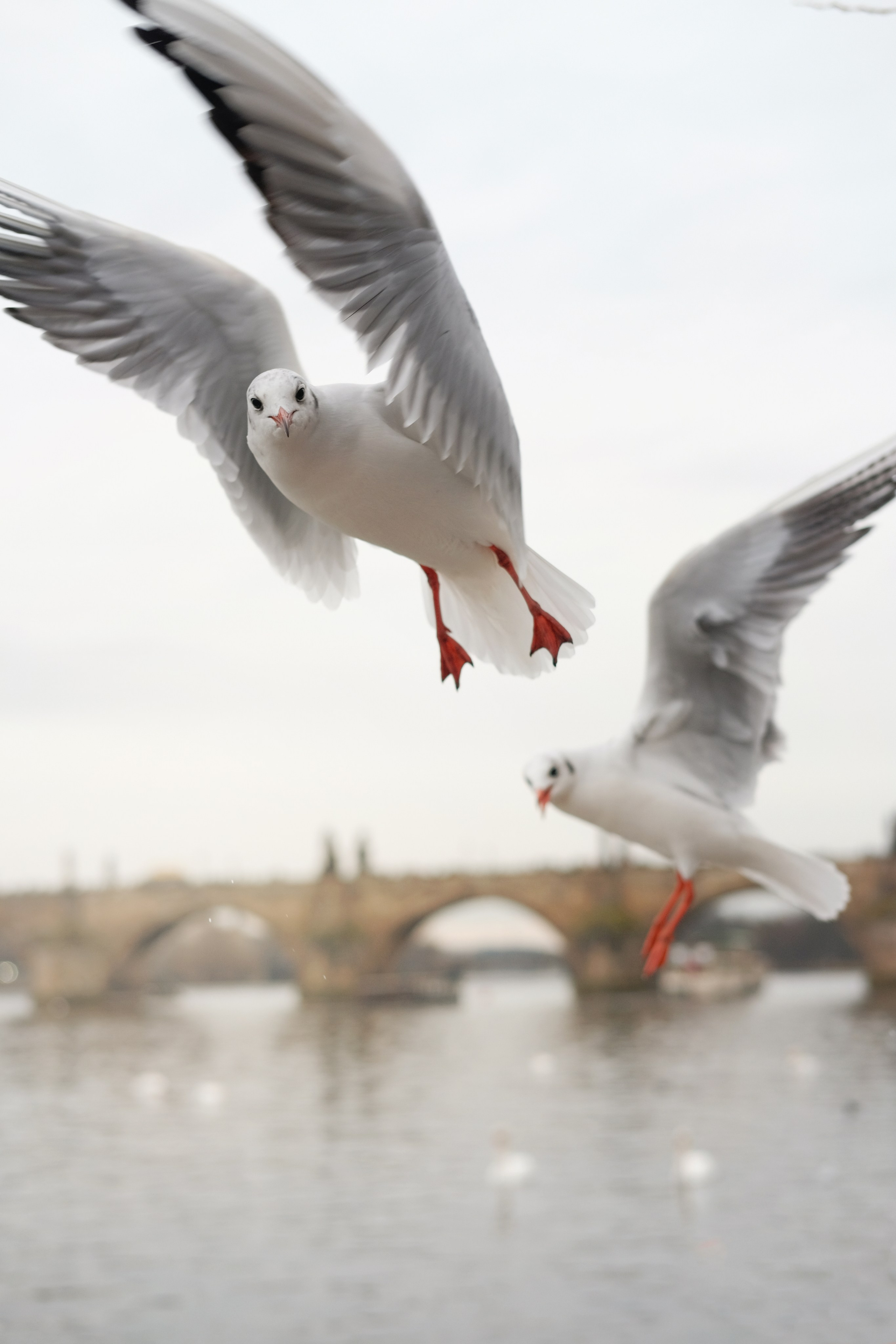 Фотографии для интерьера. Oleg Samoilov is a documentary photographer for brands that value an honest story