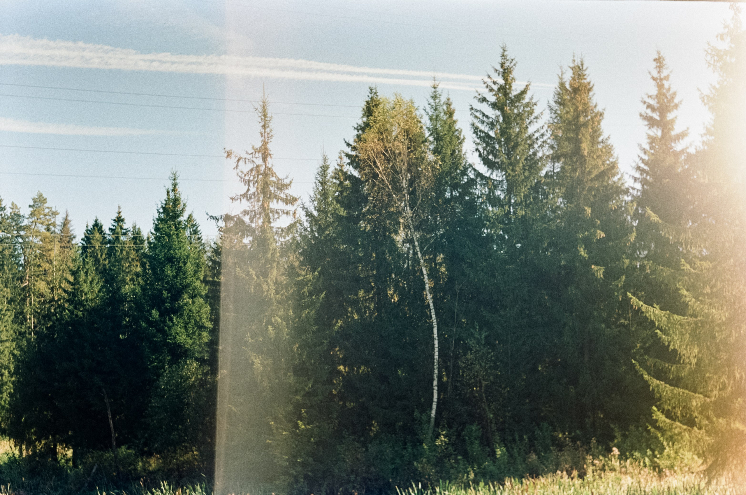 Edixa-MAT REFLEX Mod.D | Carl Zeiss Jena Biotar 58 mm f2 T | SFL 250D