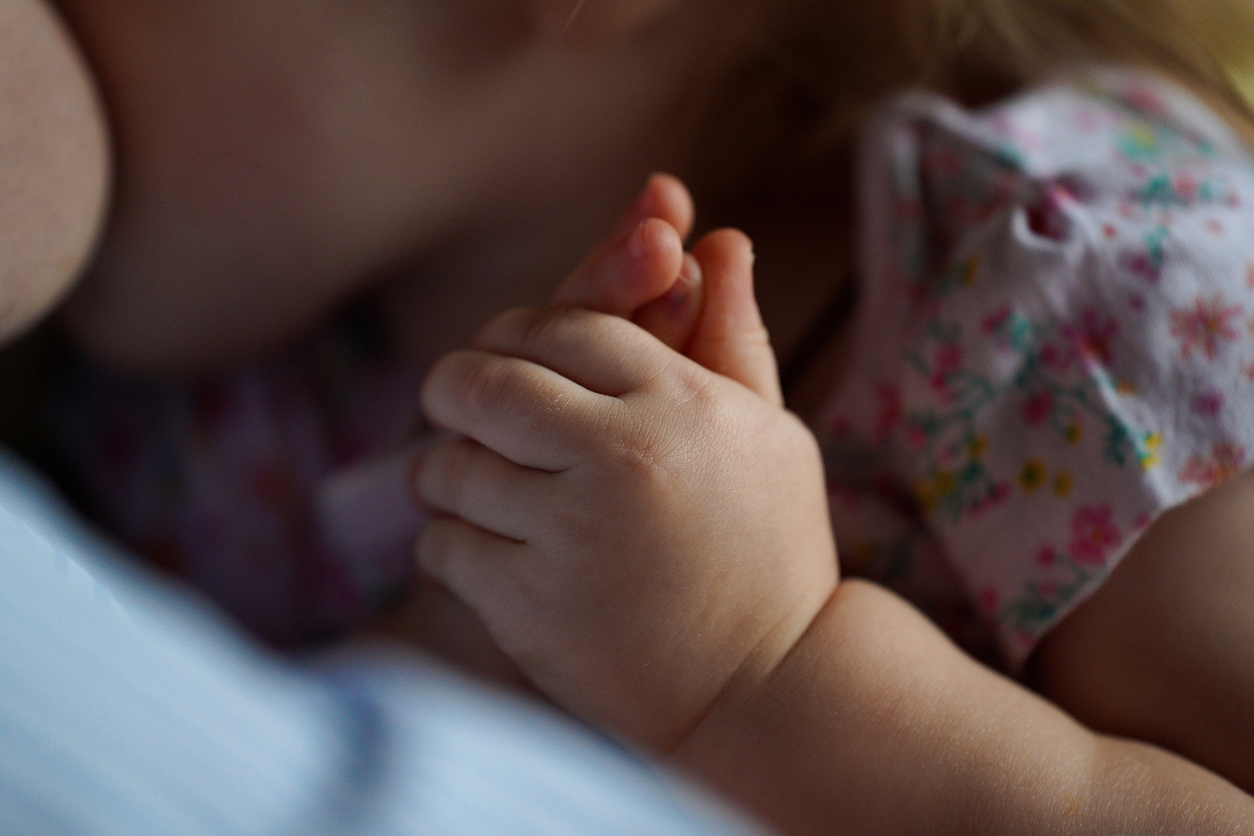 СЕМЕЙНЫЕ ЦЕННОСТИ. Профессиональный фотограф Виктория Соломкина. Майкоп-ЮФО