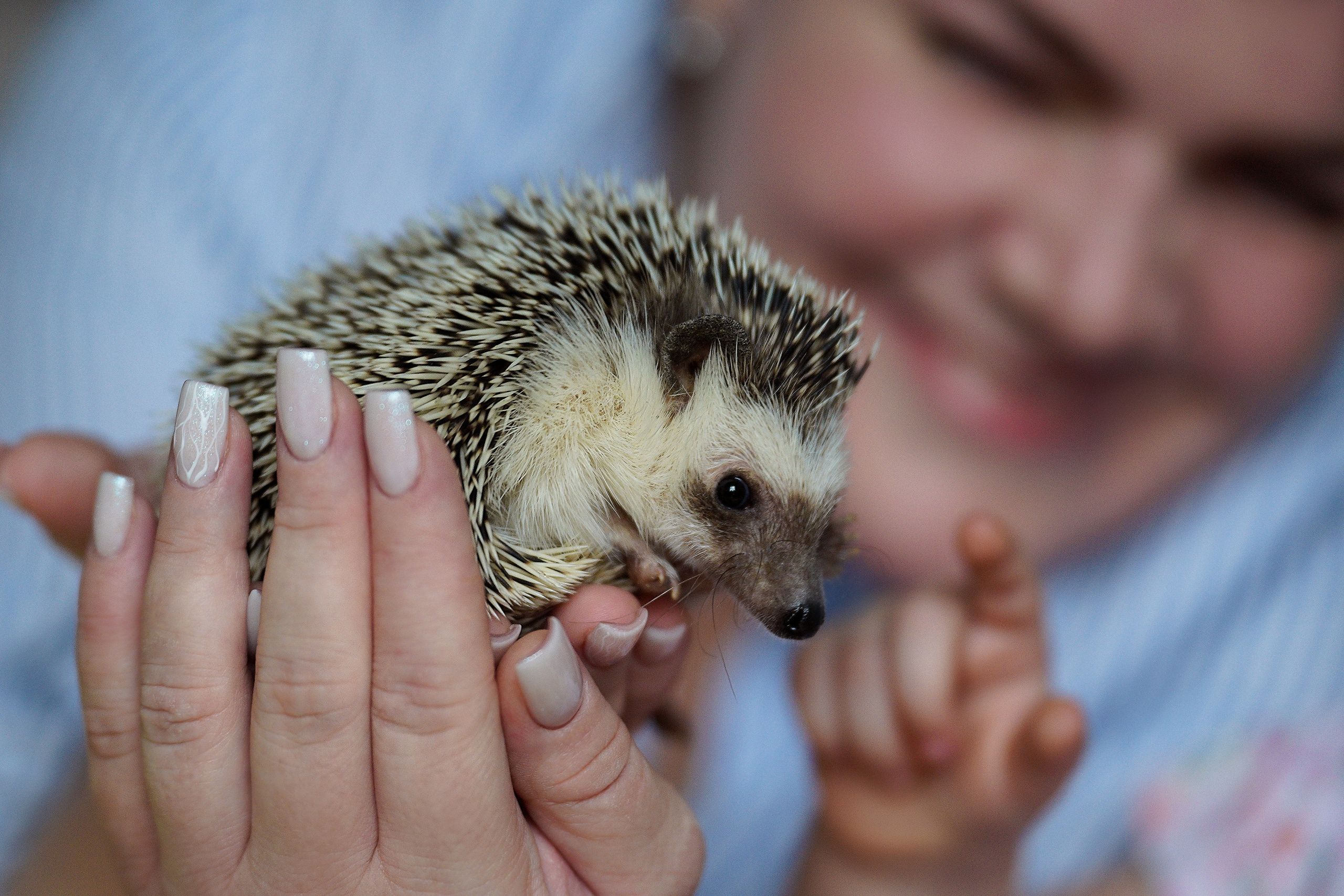 СЕМЕЙНЫЕ ЦЕННОСТИ. Профессиональный фотограф Виктория Соломкина. Майкоп-ЮФО