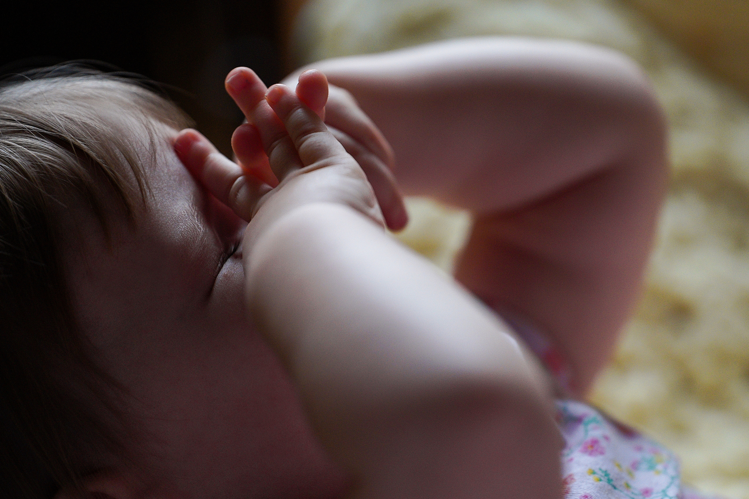 СЕМЕЙНЫЕ ЦЕННОСТИ. Профессиональный фотограф Виктория Соломкина. Майкоп-ЮФО