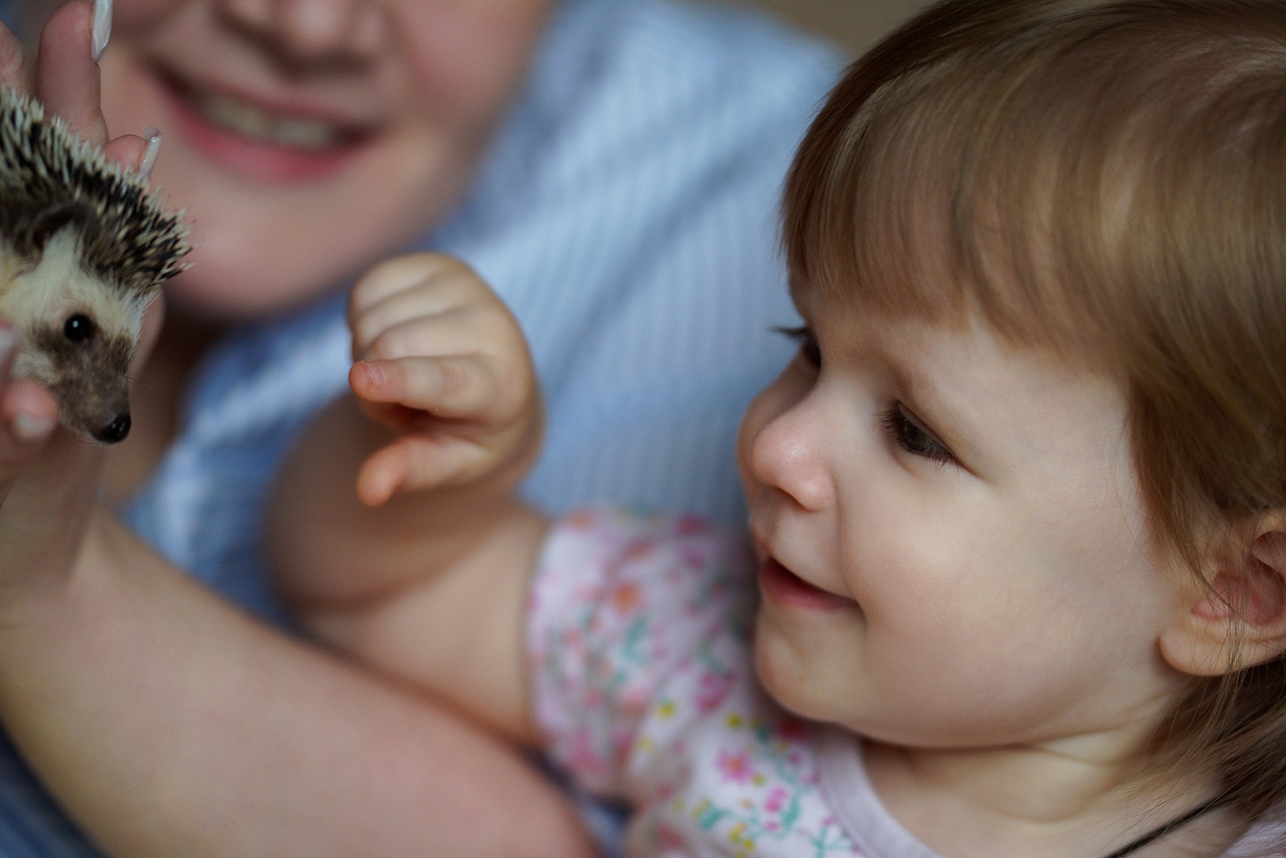 СЕМЕЙНЫЕ ЦЕННОСТИ. Профессиональный фотограф Виктория Соломкина. Майкоп-ЮФО