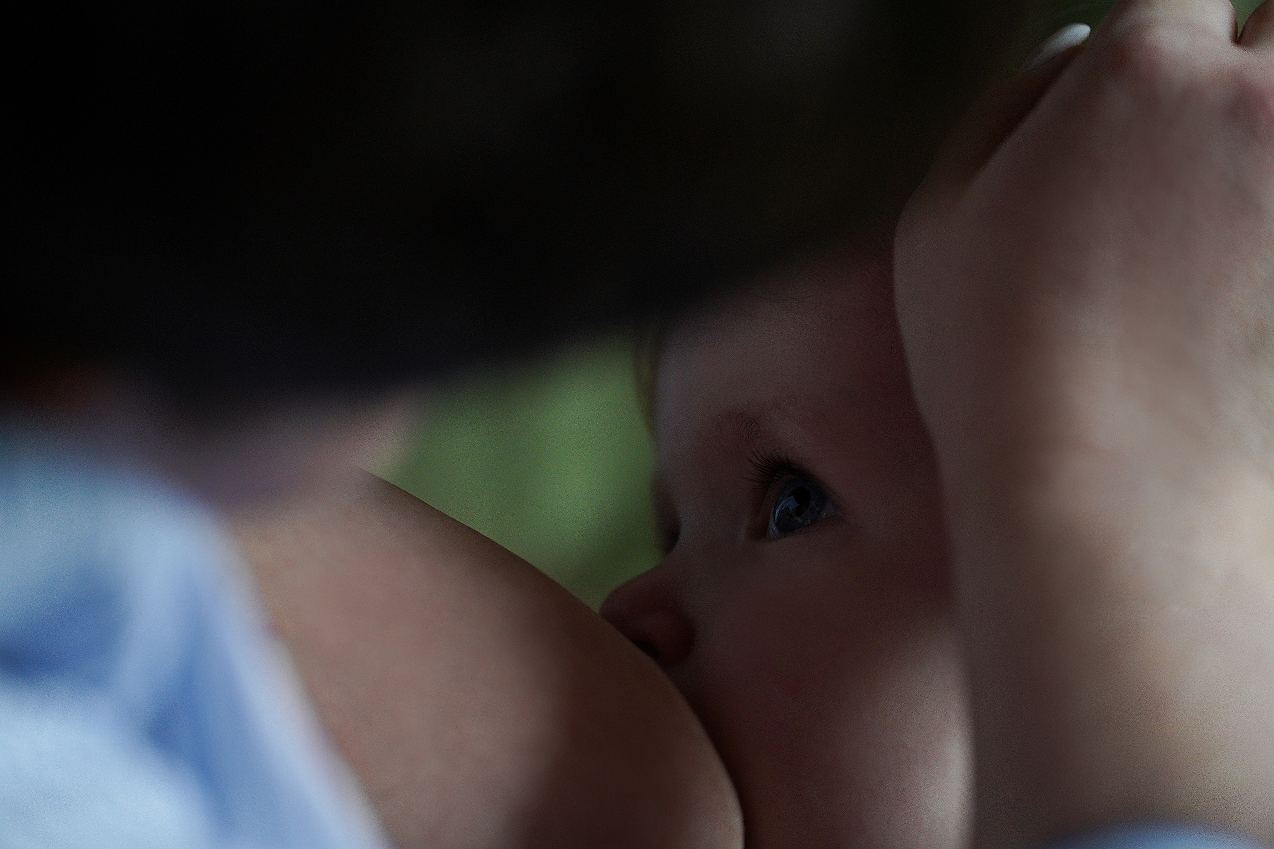 СЕМЕЙНЫЕ ЦЕННОСТИ. Профессиональный фотограф Виктория Соломкина. Майкоп-ЮФО