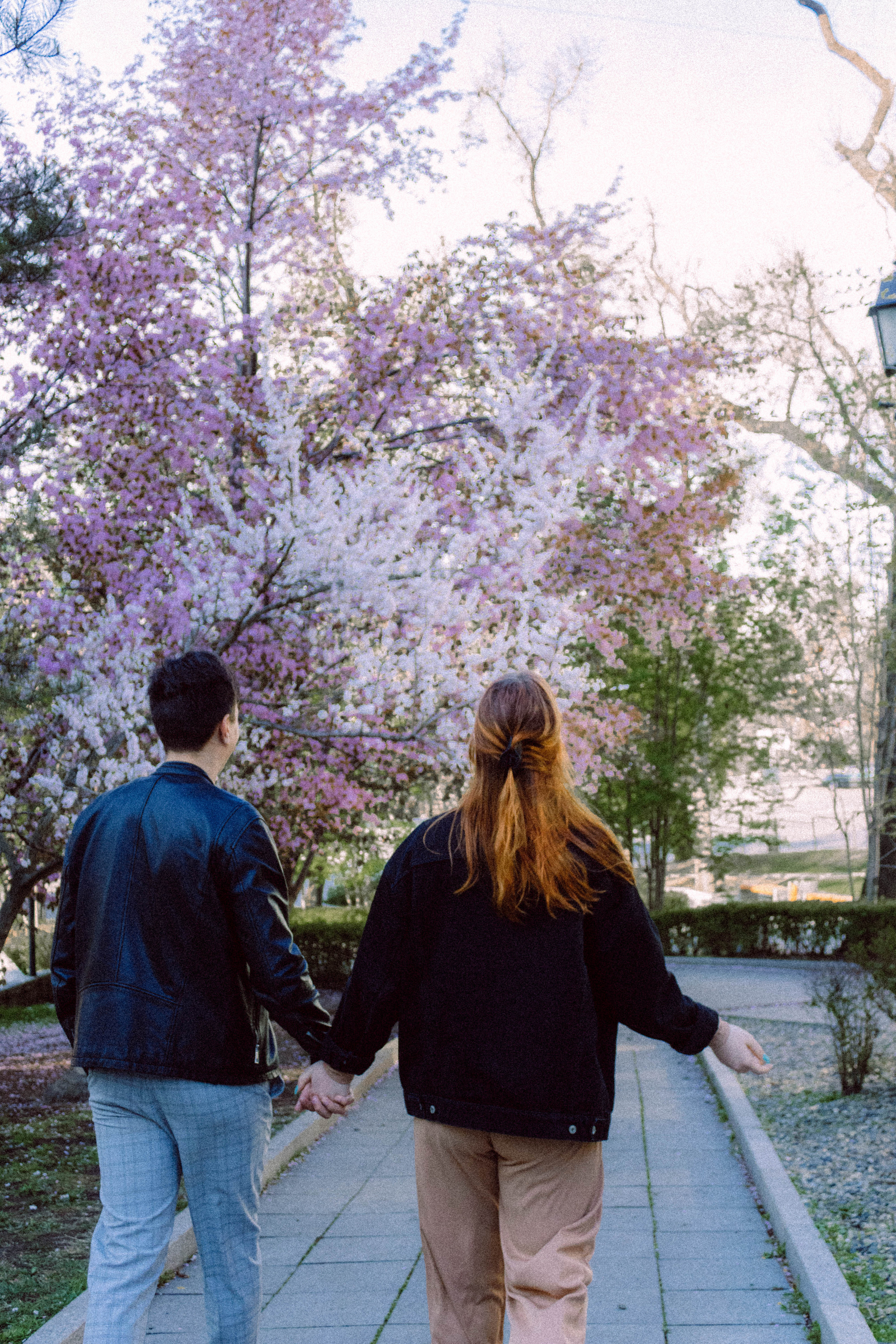Максим и Регина. Фотограф Владивосток