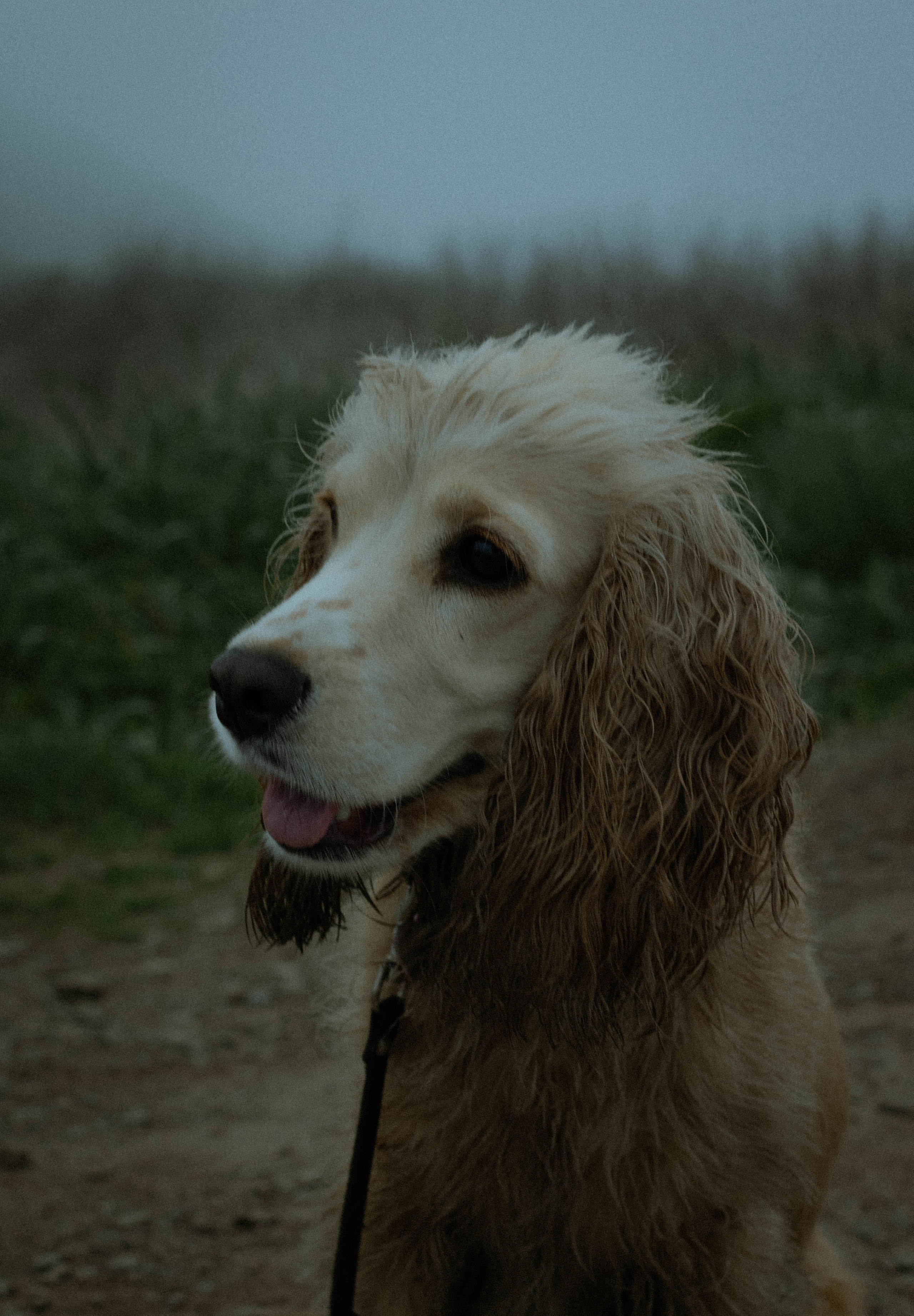 Ваня и Маша. Фотограф Владивосток