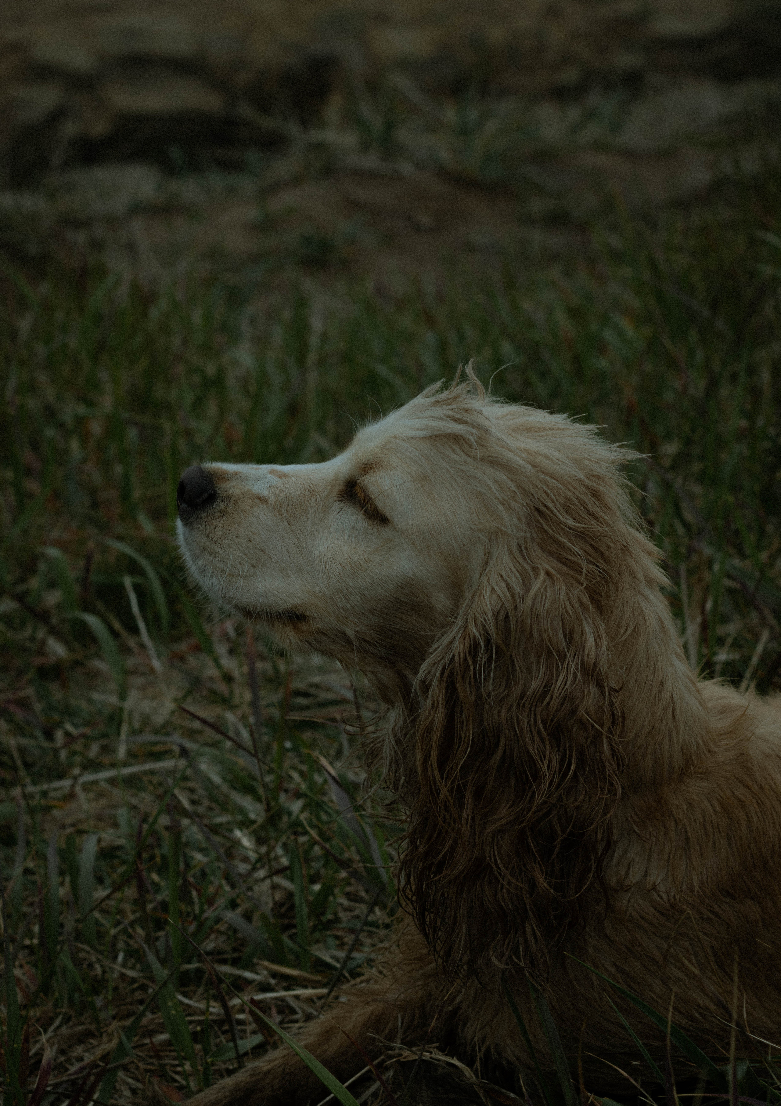 Ваня и Маша. Фотограф Владивосток