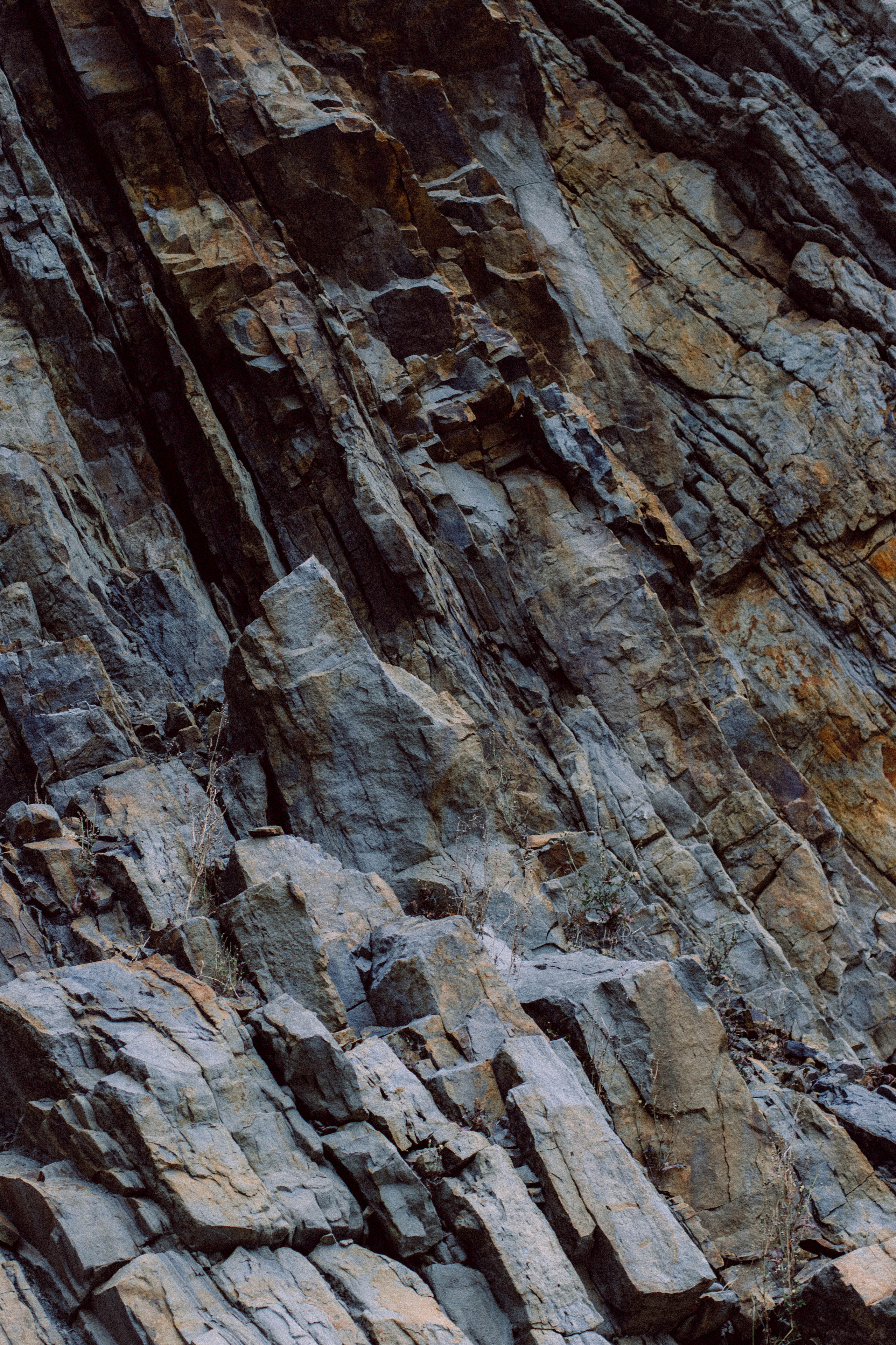 Саша и Таня. Фотограф Владивосток