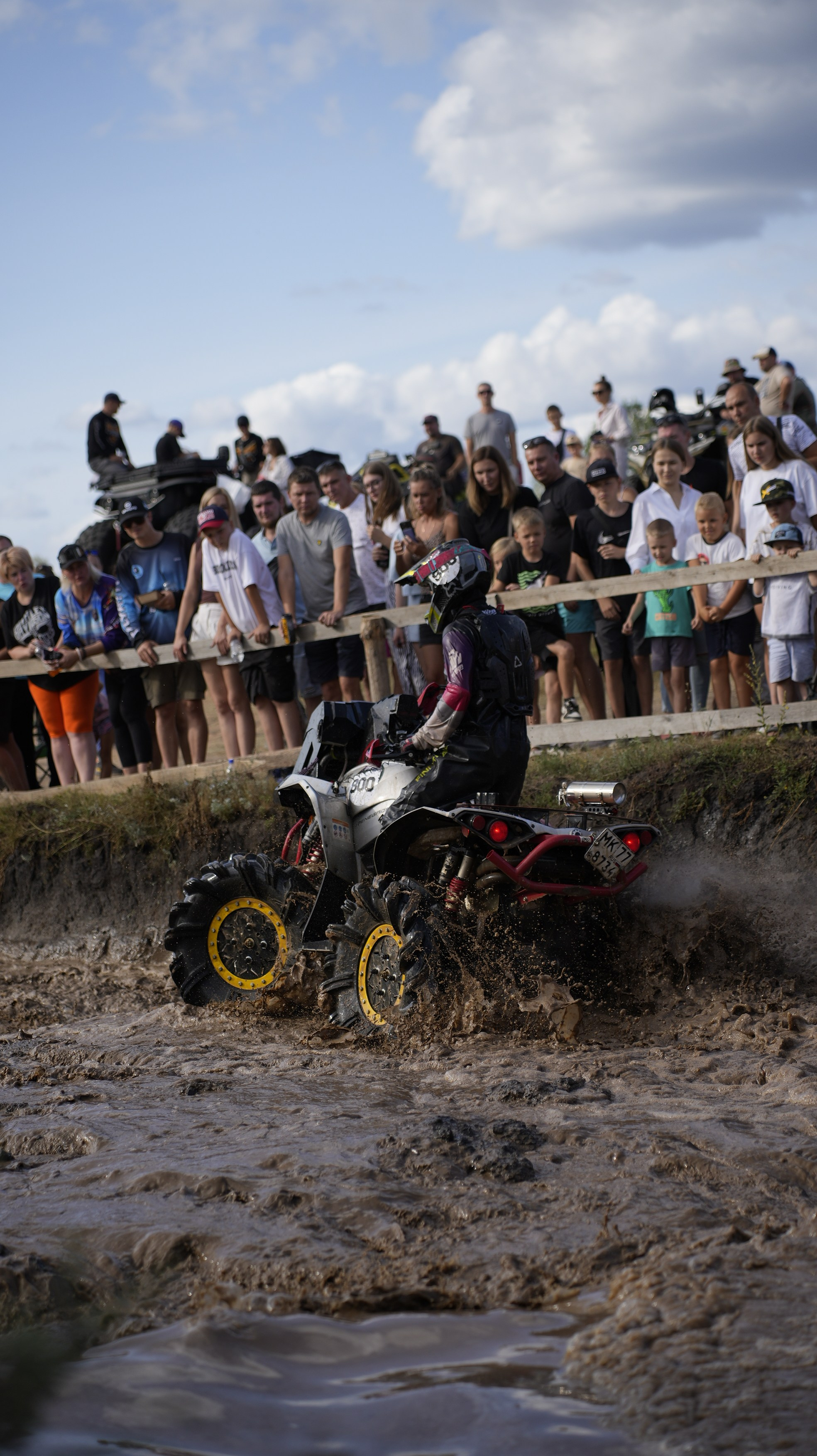 Asset. Георгий Новиков