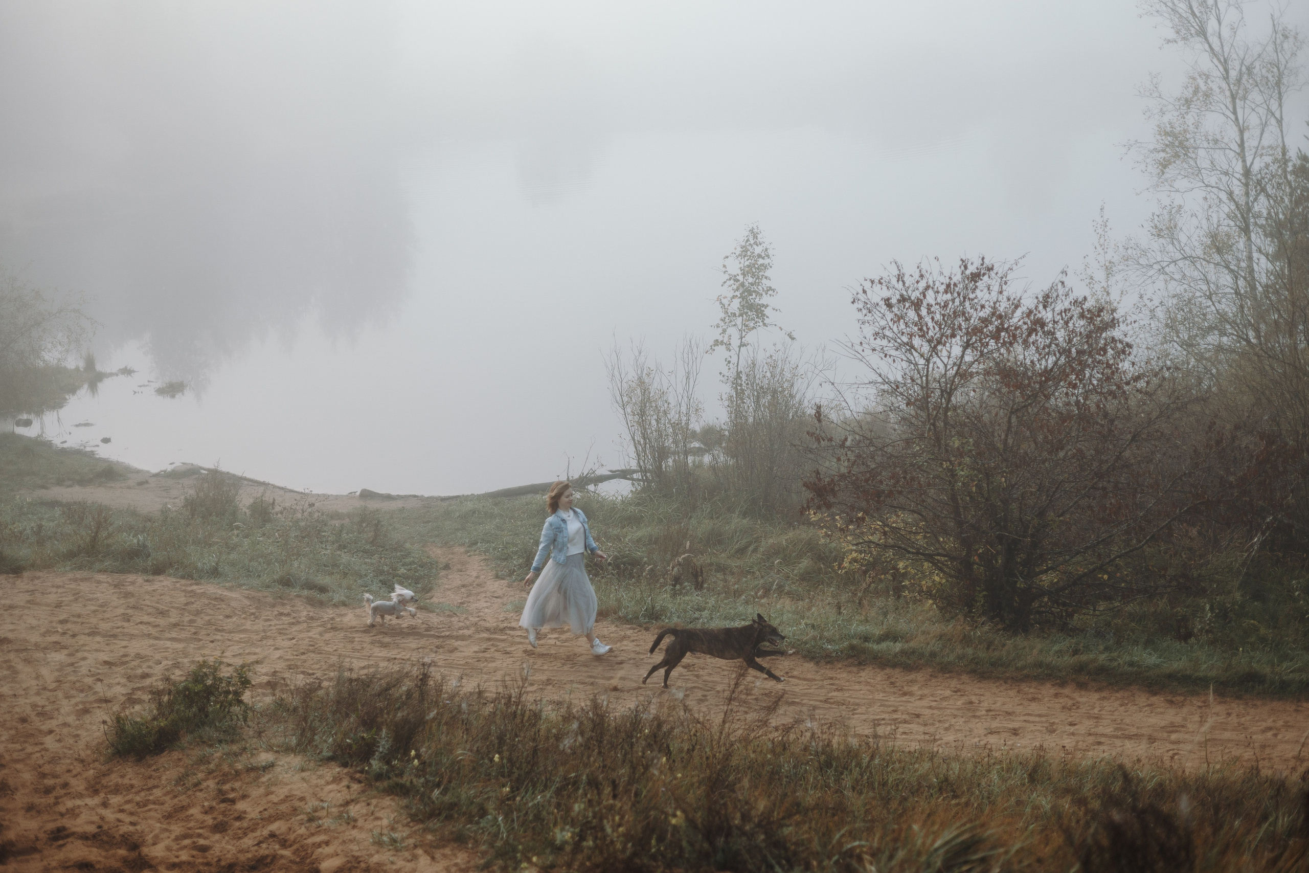 Любовь и ее хвостики. Фотограф — Анималист | Санкт-Петербург