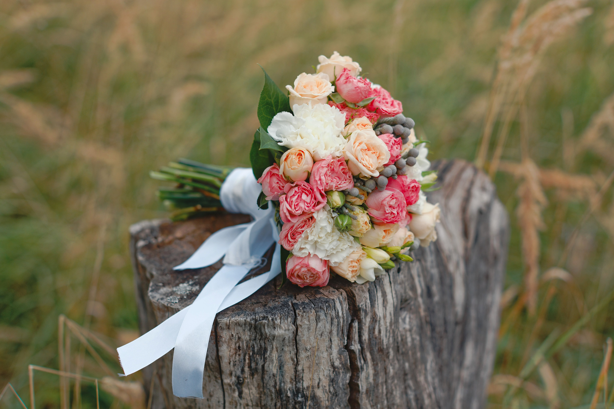 Александр и Александра. Видеограф Павел Борисов | Москва | СПБ | Брянск