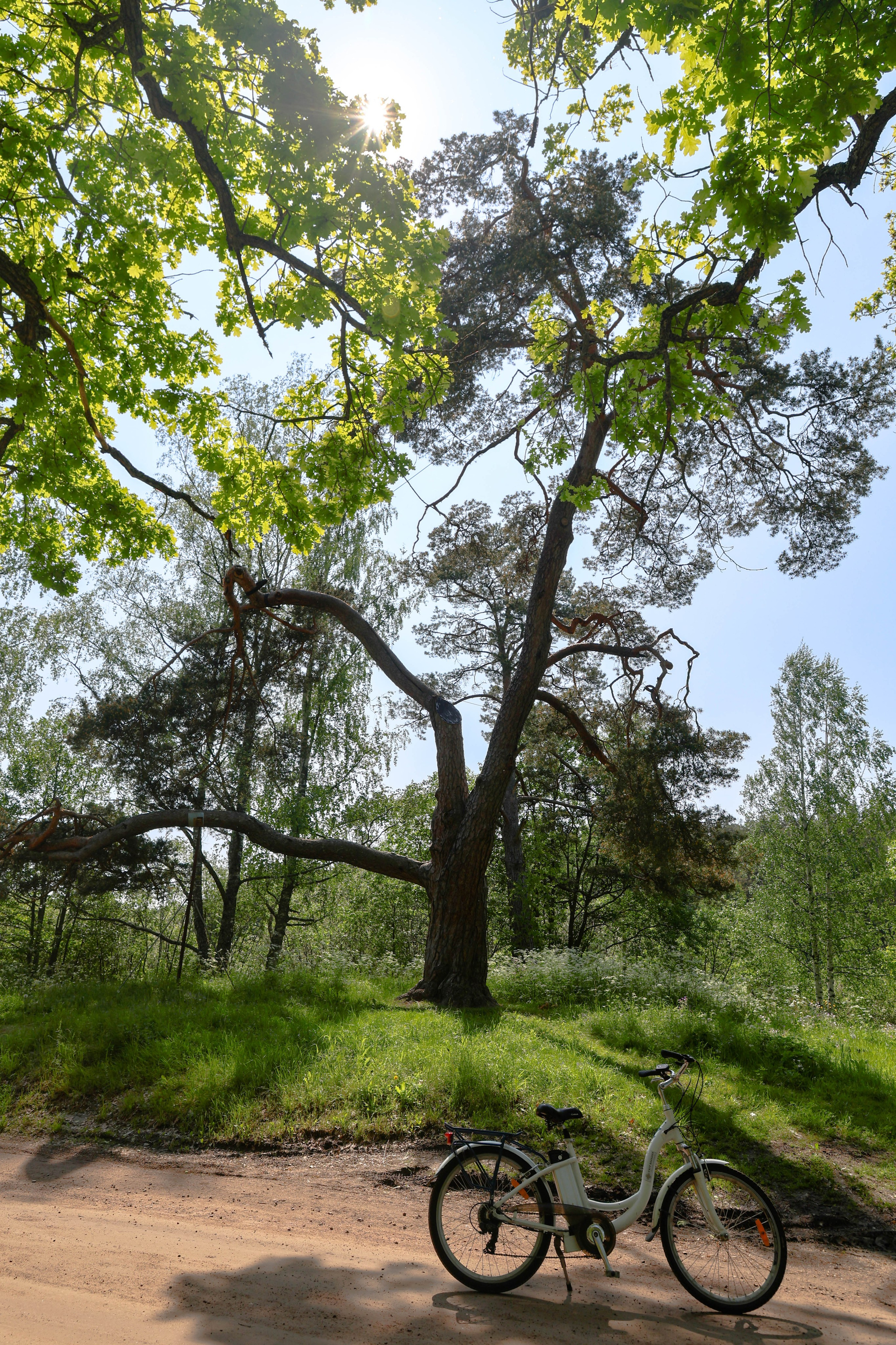 ПЛАНЕТА ЗЕМЛЯ (пейзаж). АЛЕКСЕЙ КОЛМАКОВ. Фотограф. Москва и Московская область