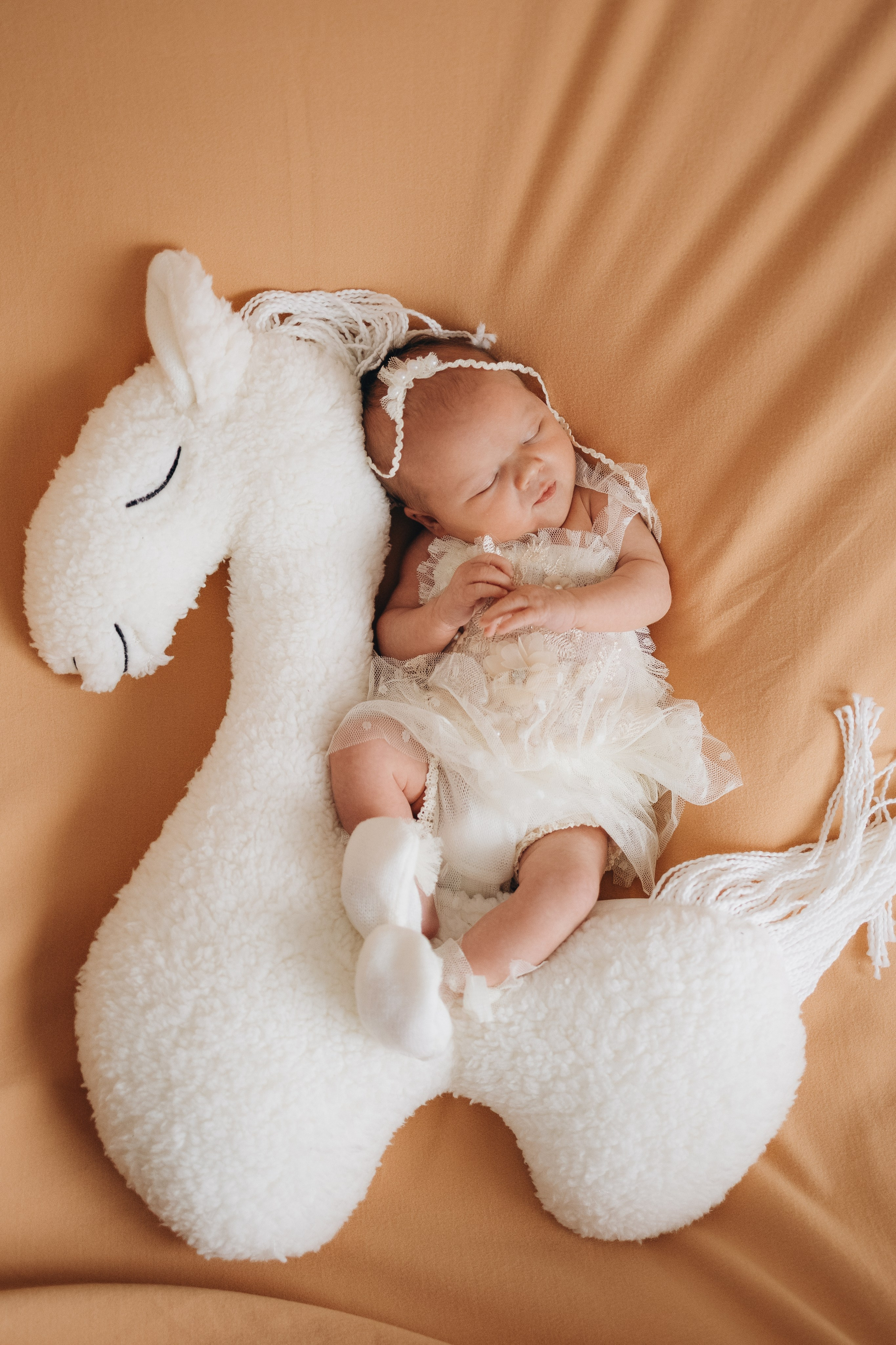 Дашенька. Фотограф новорожденных в Москве и Московской области Наталья Збиглей