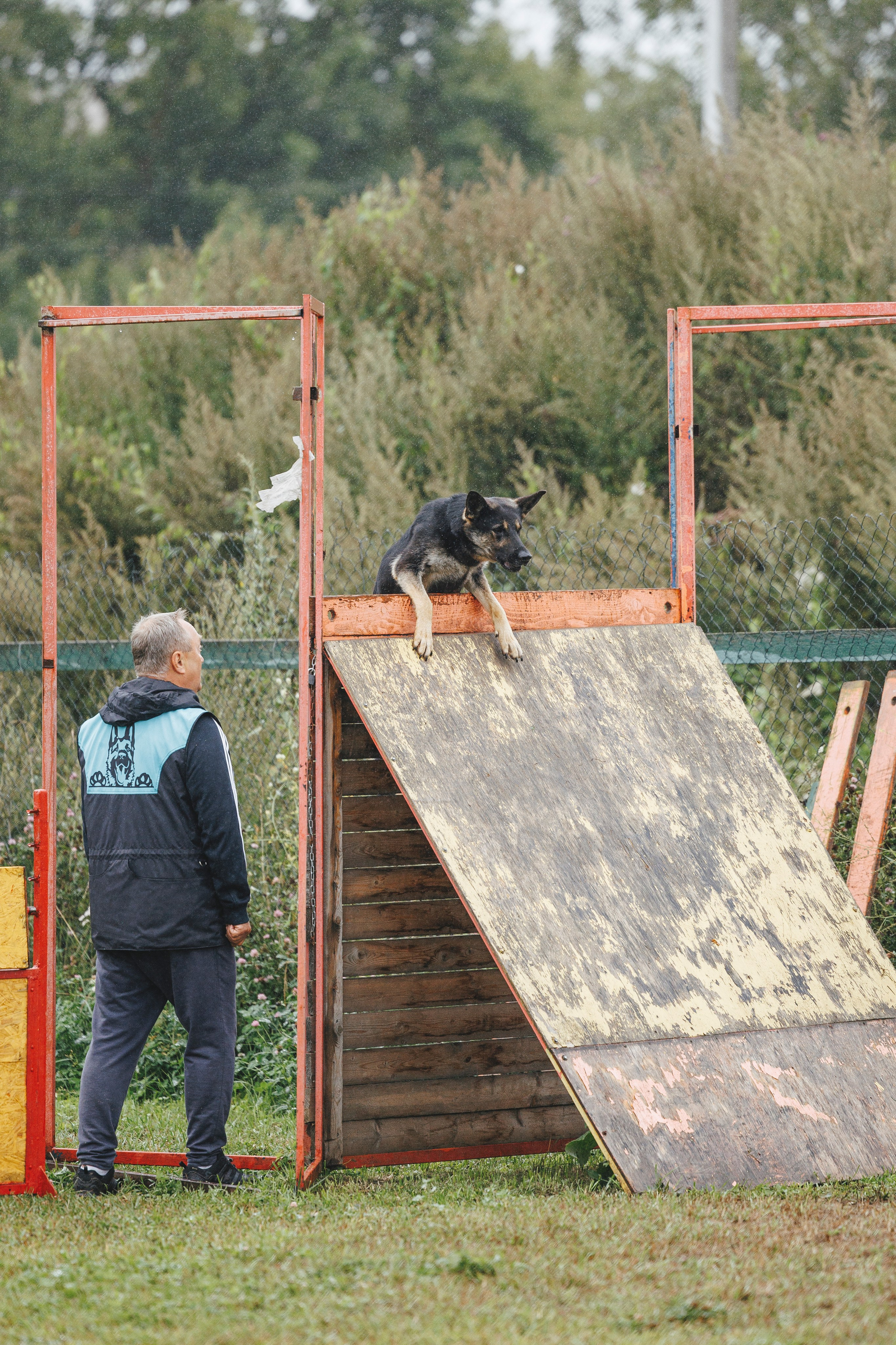 08.08.25-10.08.25 ЧР по мондьорингу г. Вологда. Фотограф-анималист Анна Маринич