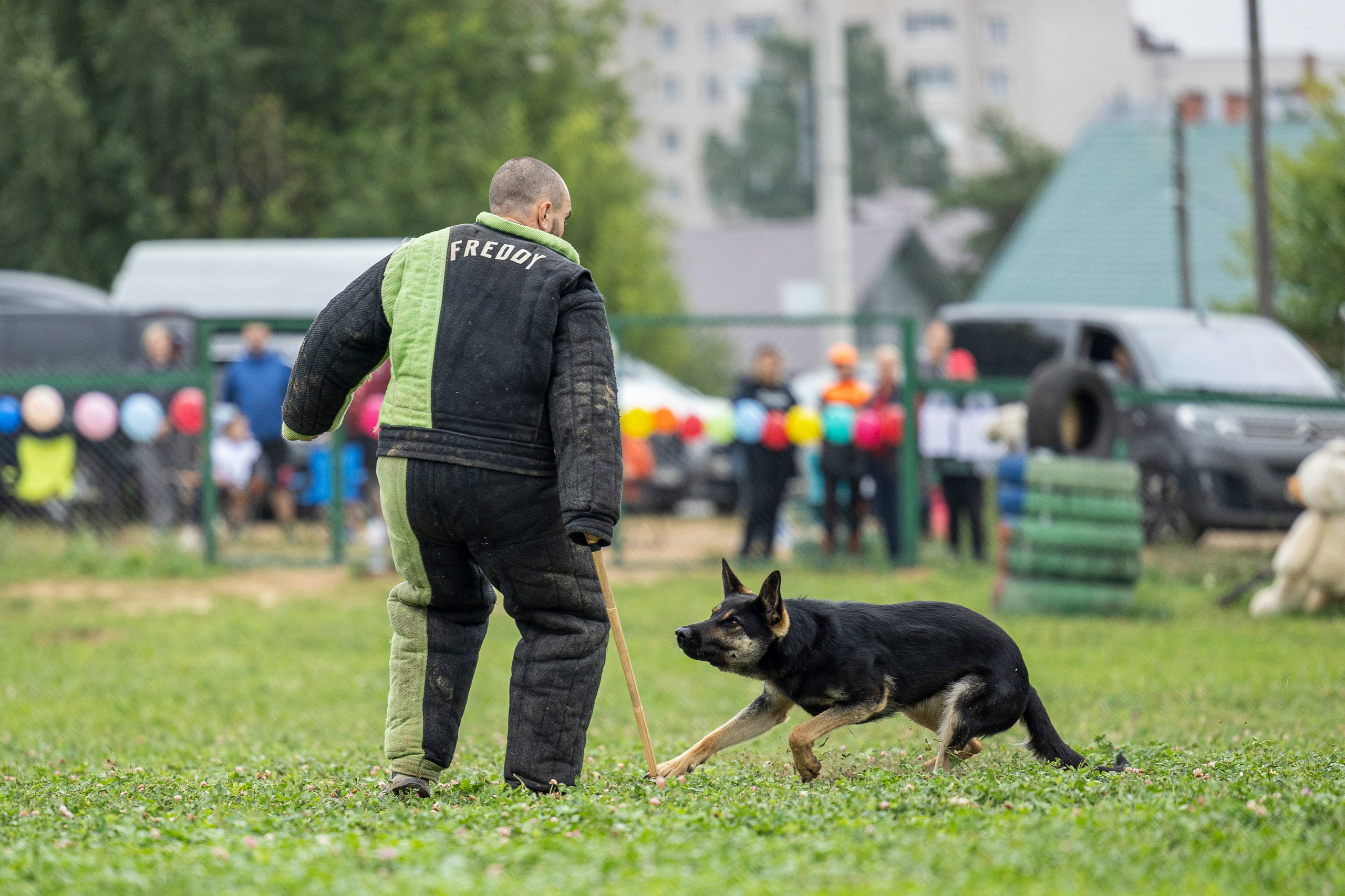 Соревнования по Мондьорингу г. Вологда 10-11.08.2024. Фотограф-анималист Анна Маринич