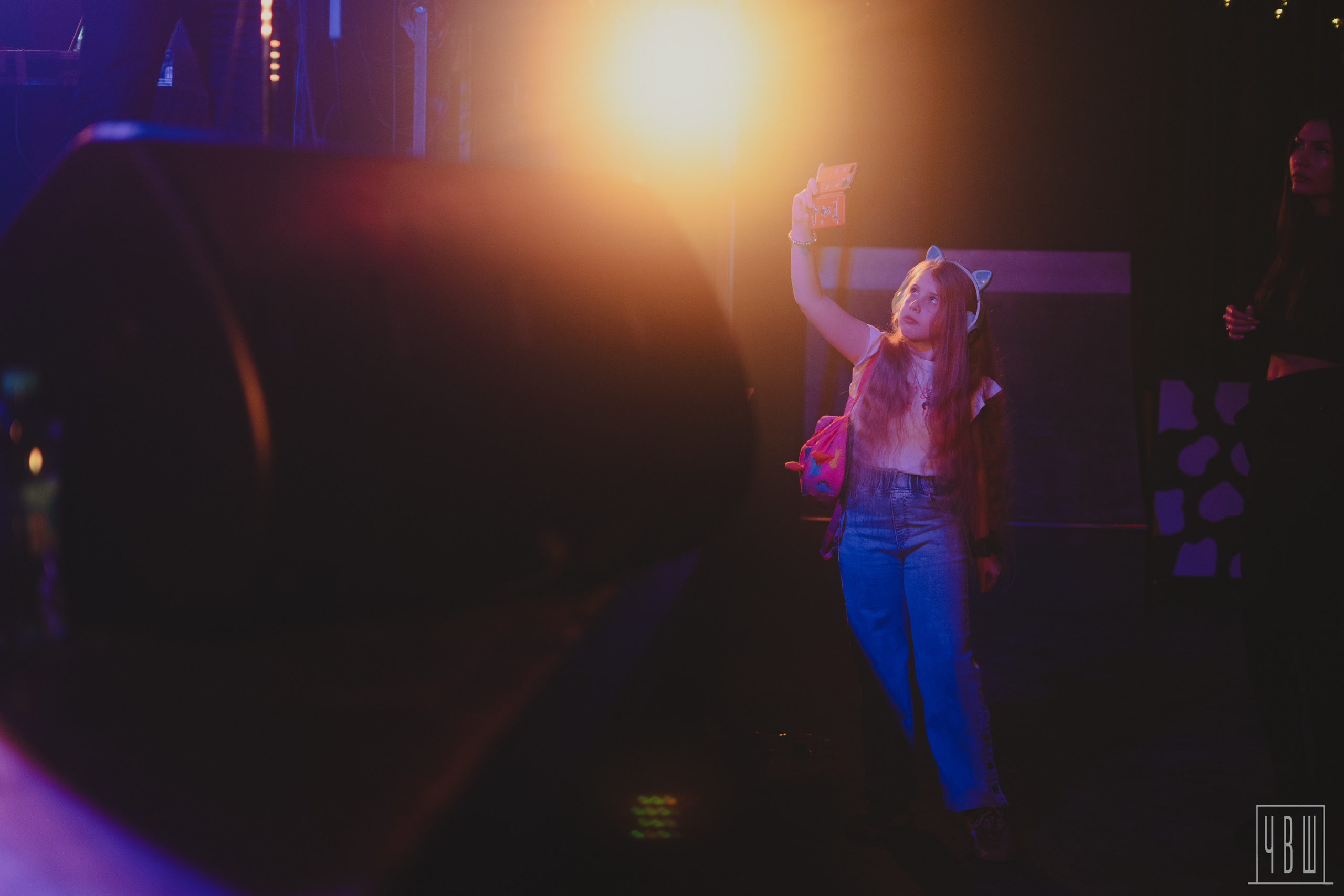 ШардаМ, 04.11.2025, Ласточка. Человек в Шляпе