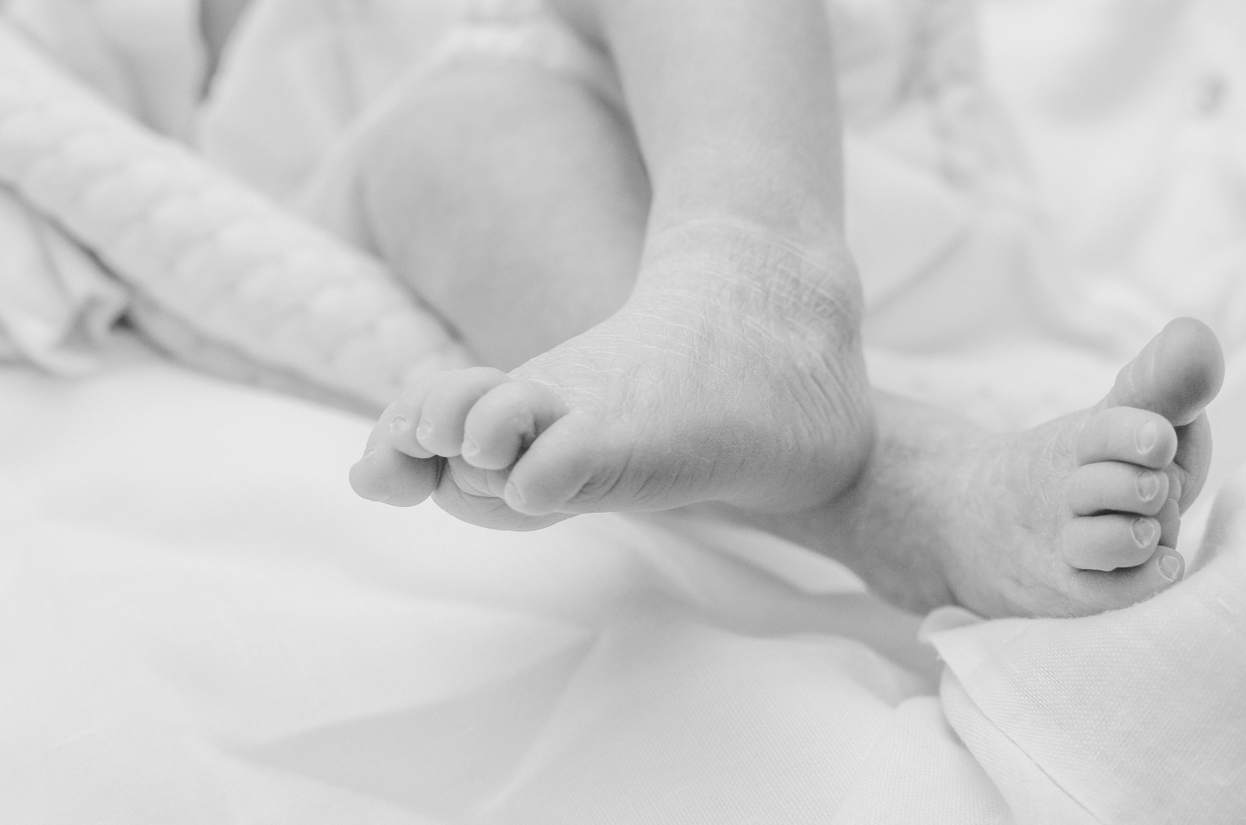 Карина. Первое знакомство