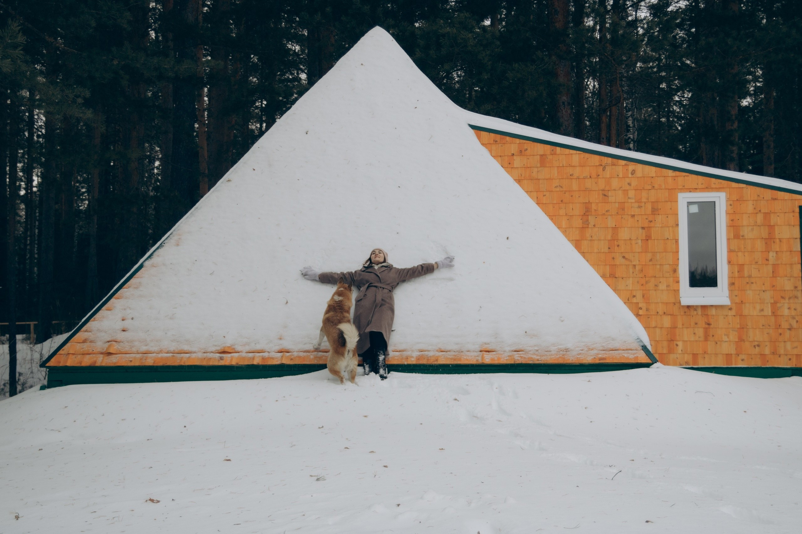 Изумрудный город — ретритный центр в лесу Натальи и Алексея