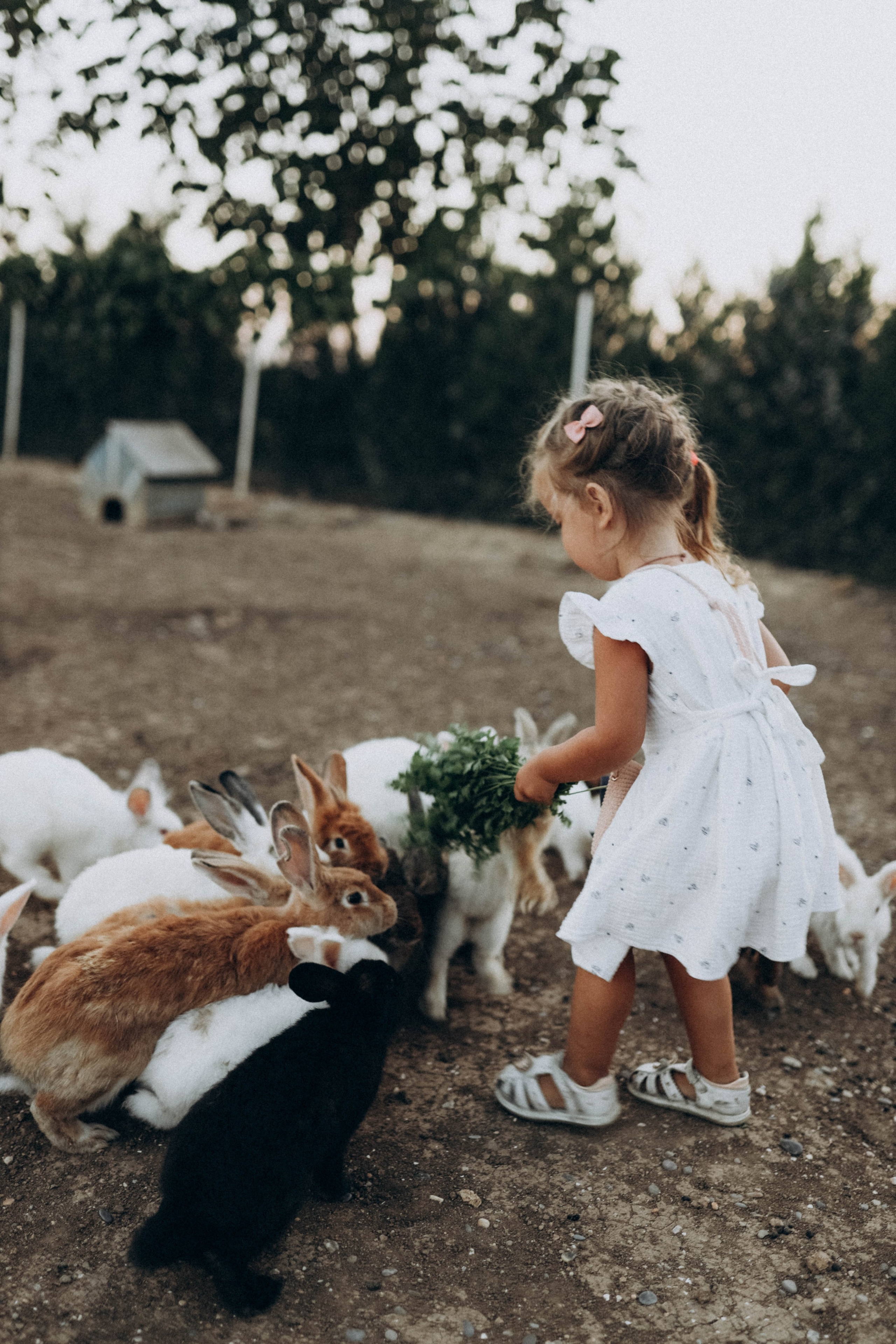 Кроликпарк 🐇. Индивидуальные и семейные съемки в Евпатории, Крыму Немировченко Анна