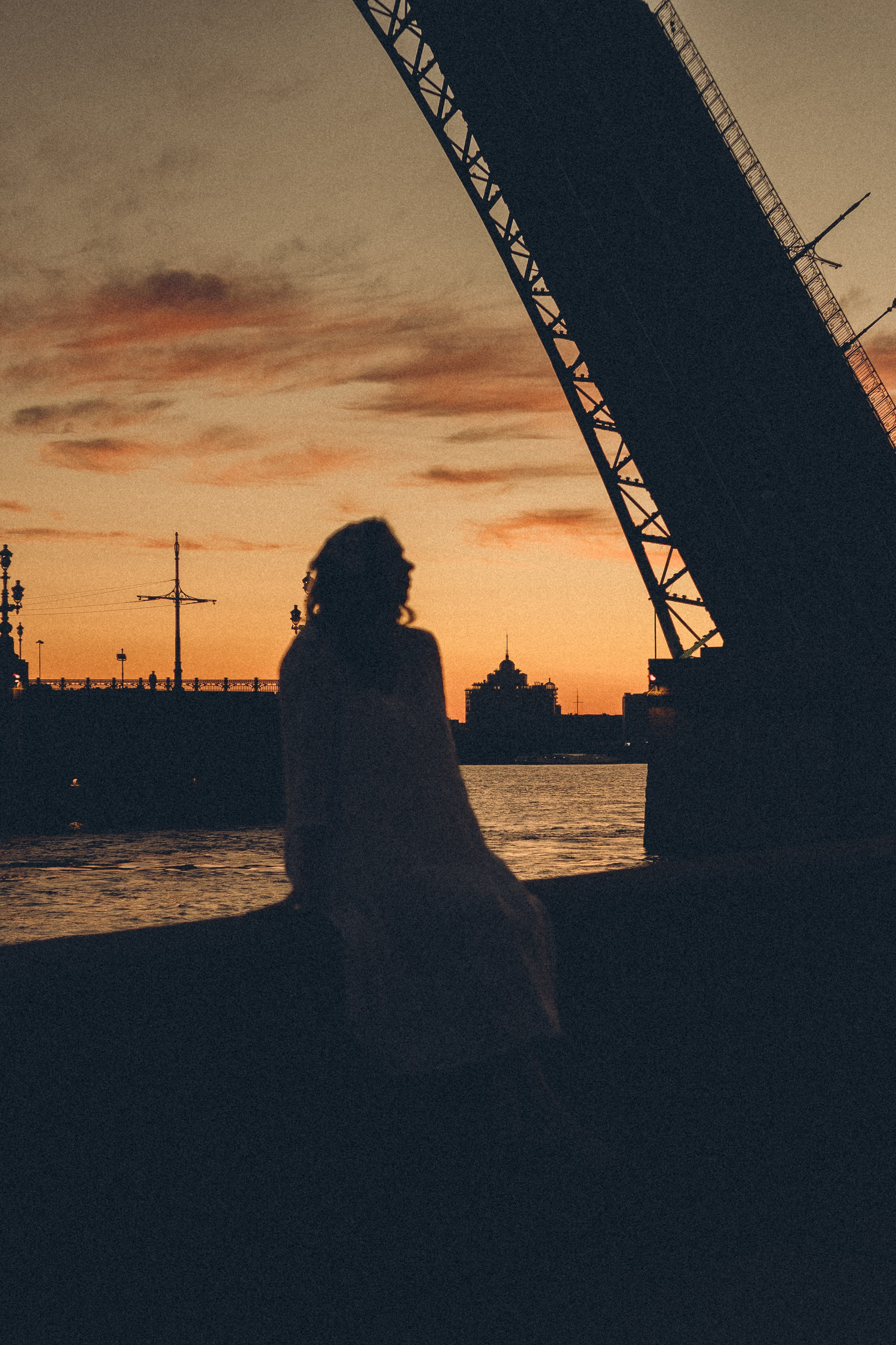 РАССВЕТ С РАЗВОДНЫМИ МОСТАМИ. Профессиональный фотограф, Санкт-Петербург — Виктория Богомолова