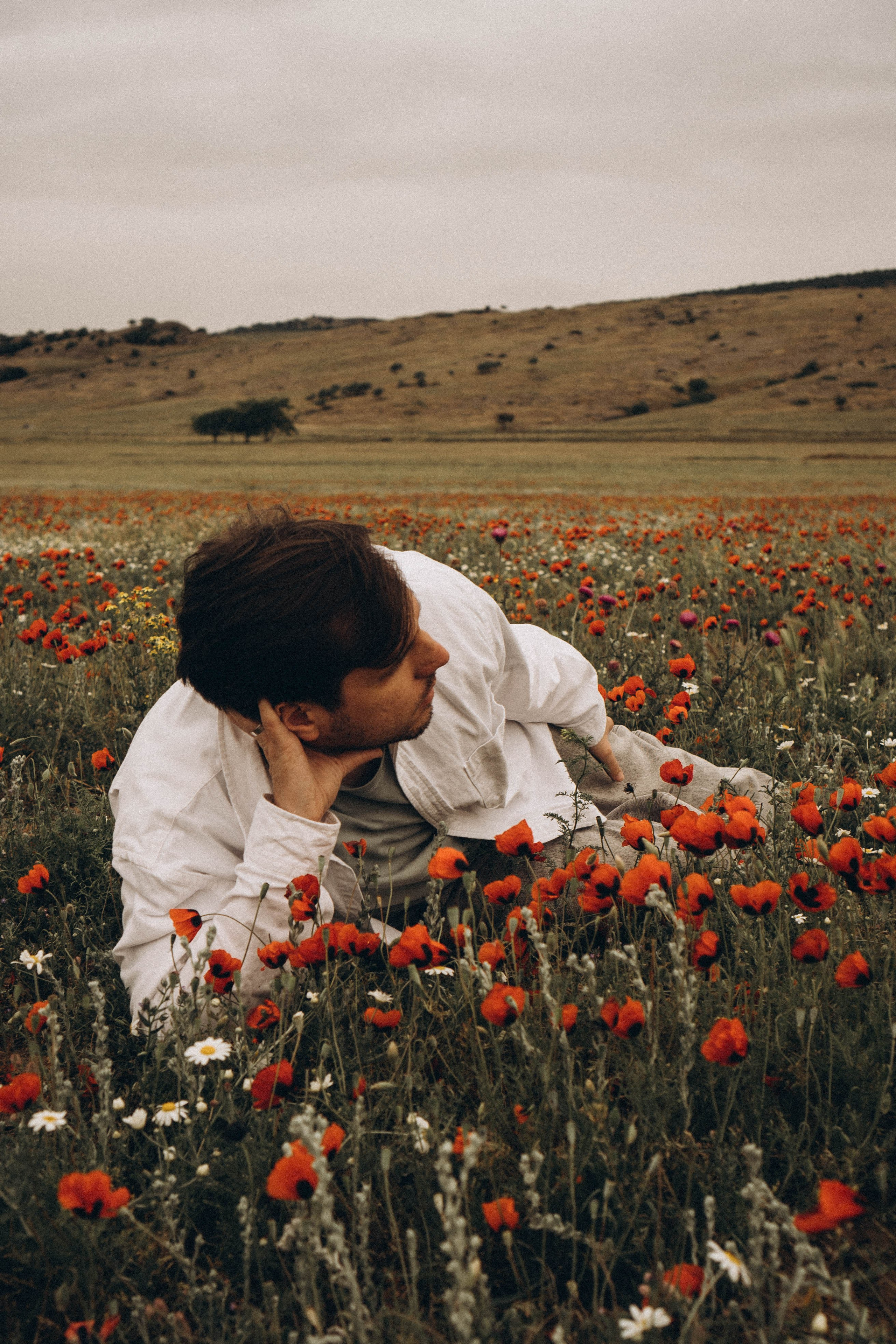 Маки. Профессиональный фотограф, Санкт-Петербург — Виктория Богомолова