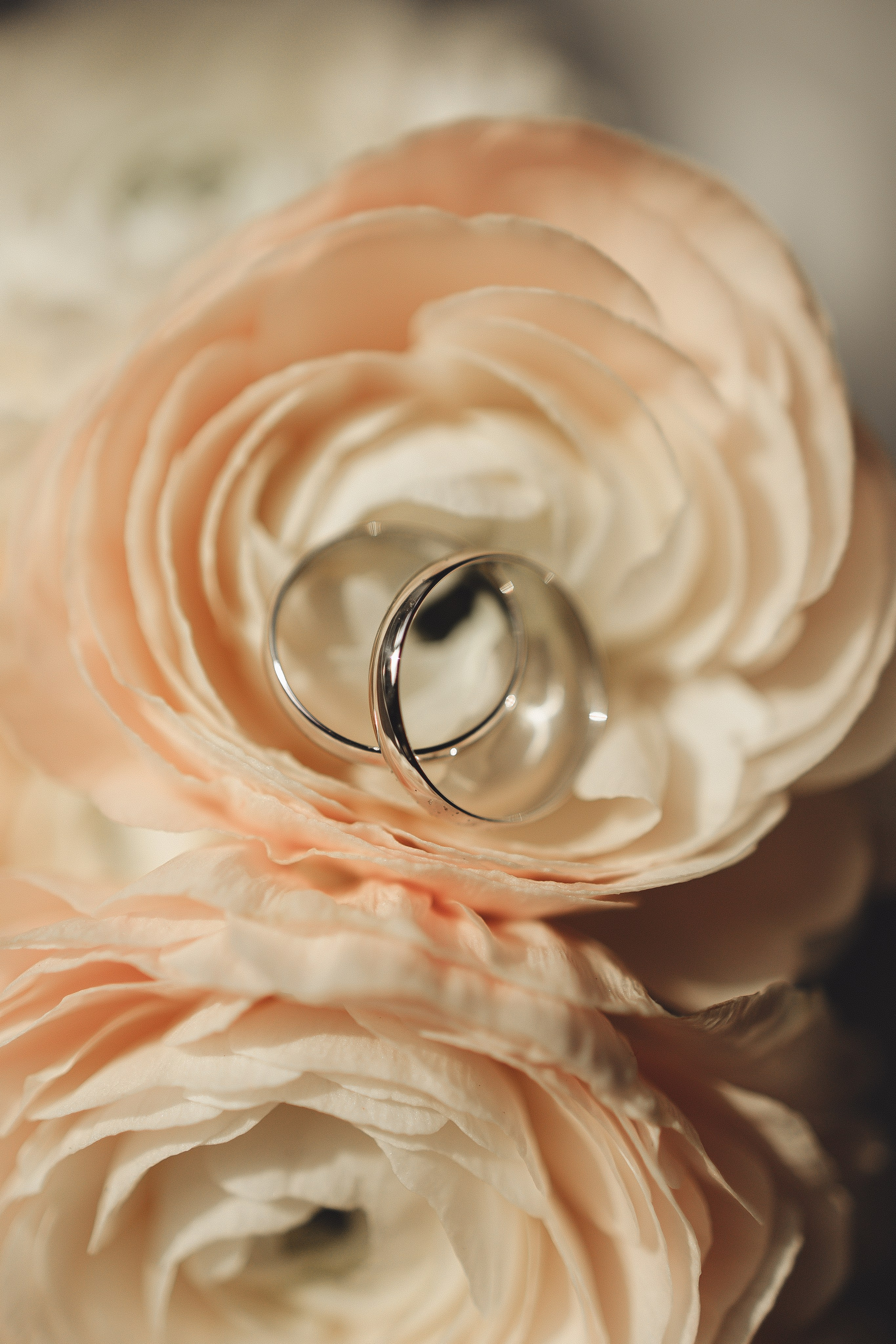 Свадебная история для двоих. Семейный и детский фотограф, таганрог, ростов-на-дону