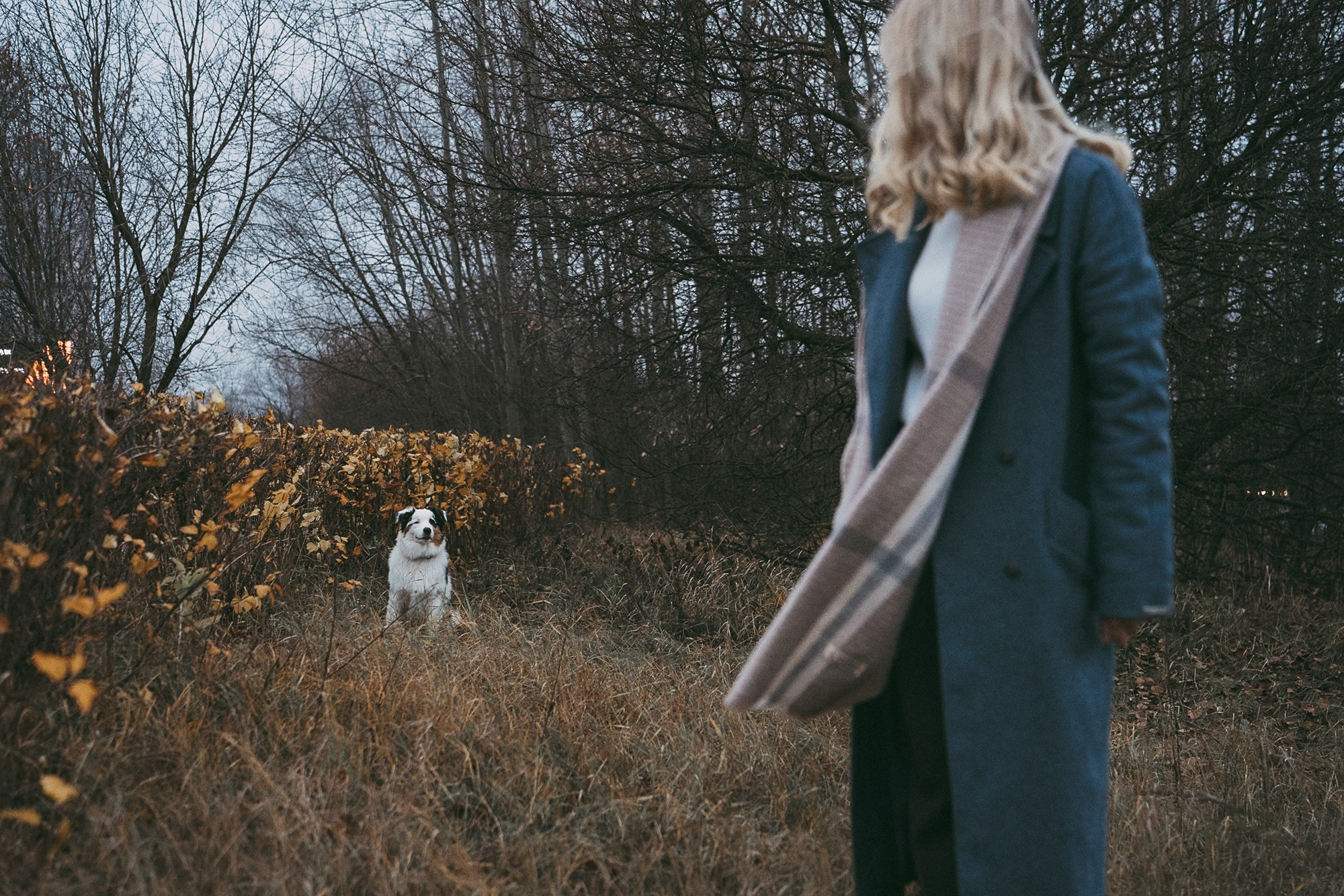 Лиза и Бублик. Фотограф анималист в Москве и Санкт-Петербурге Свиридова Анна
