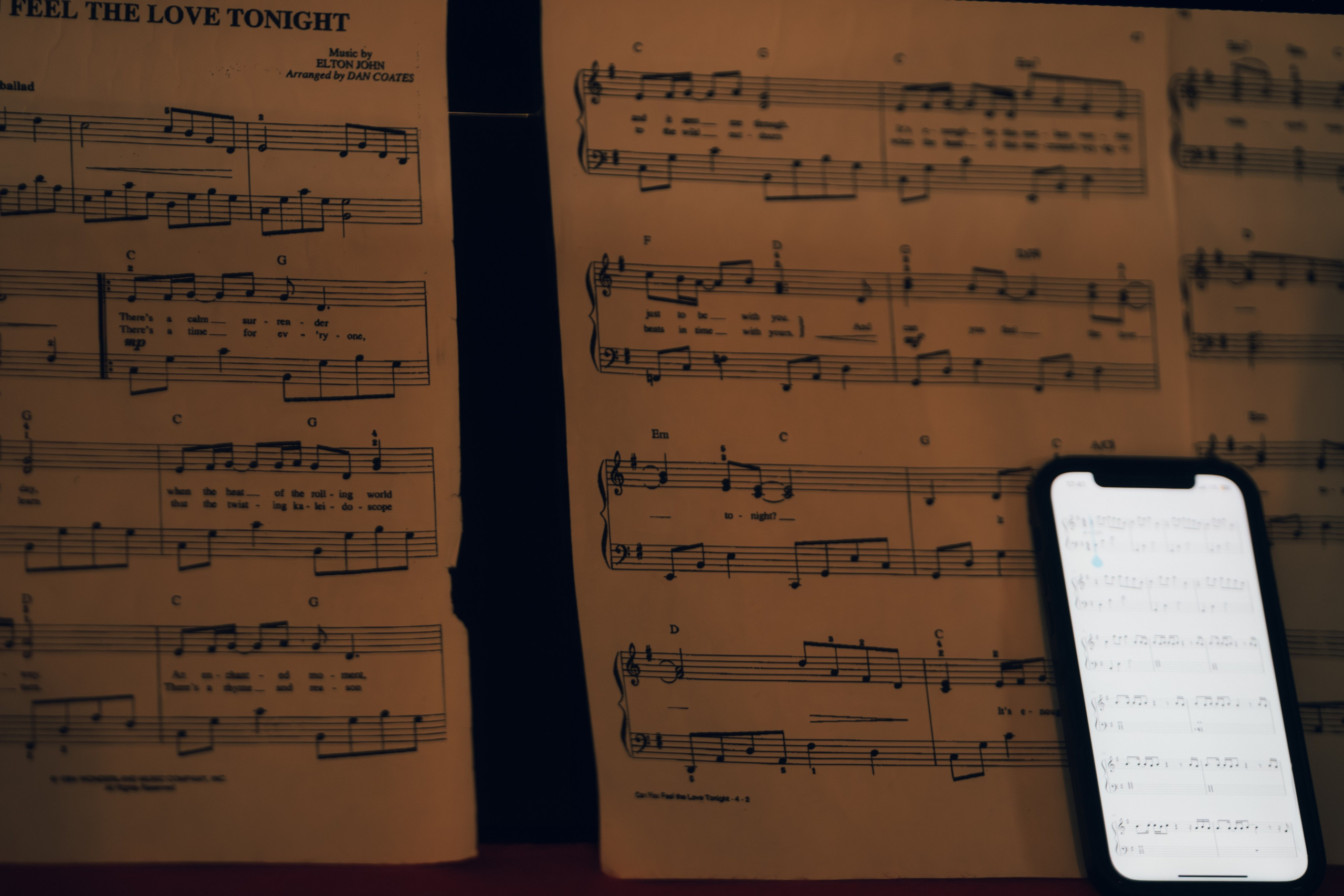 Последний день лета. Фотограф Ксения Калюжная