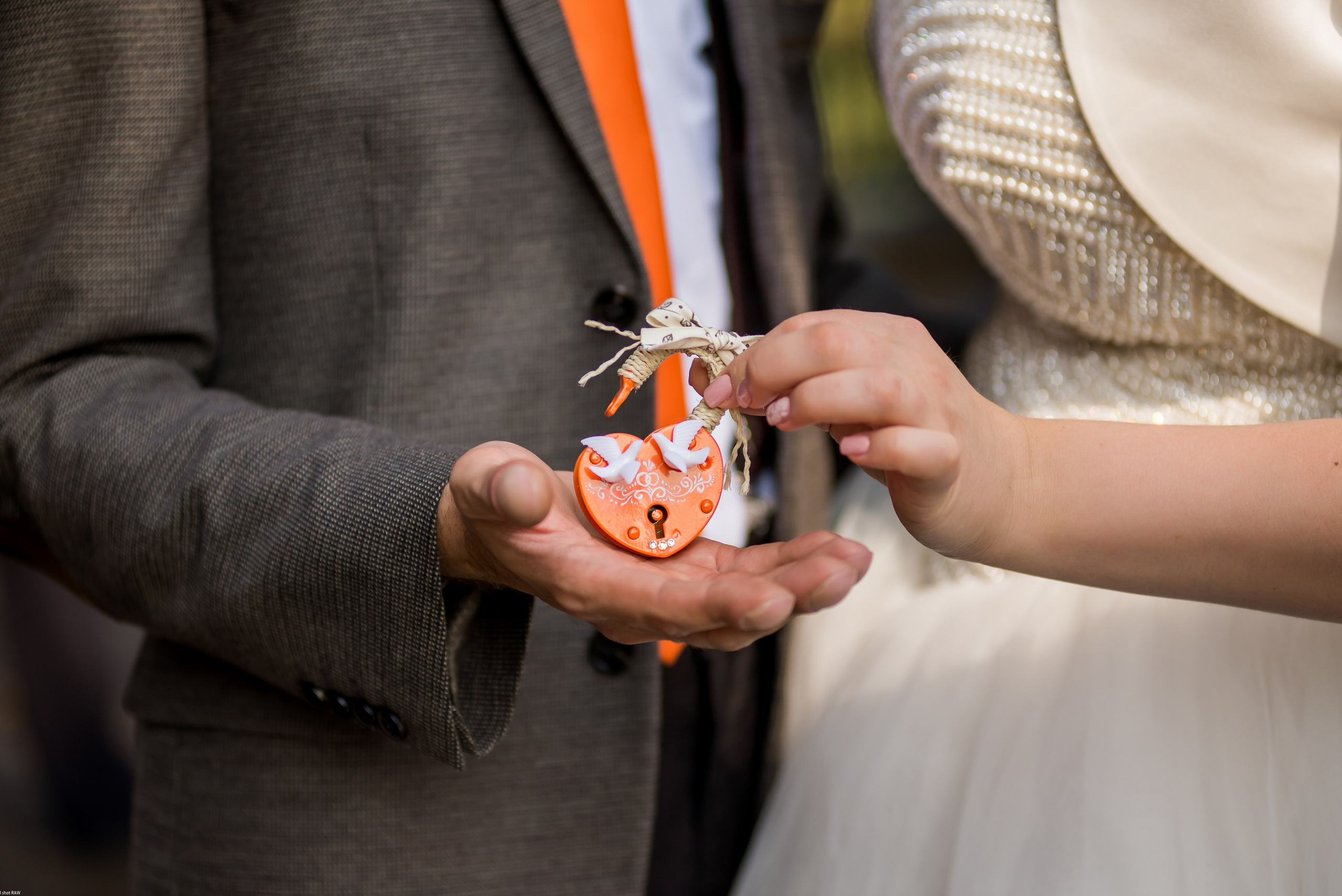 Таня и Николай. Свадебный фотограф в Рязани Вагнер Владимир