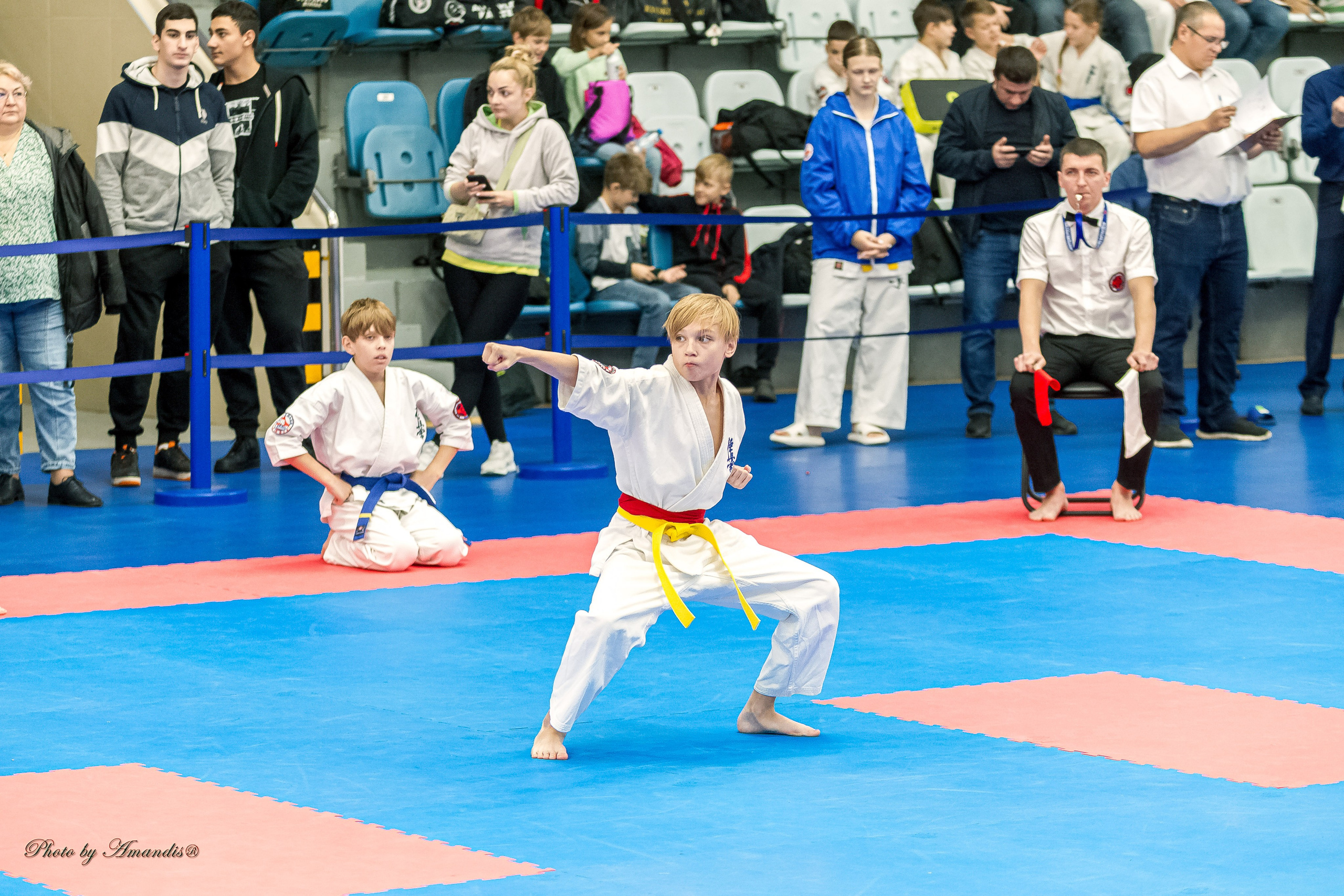 Чемпионат по Киокушинкай Центрального Федерального округа. Репортажная съемка в Москве и области. Анималистика