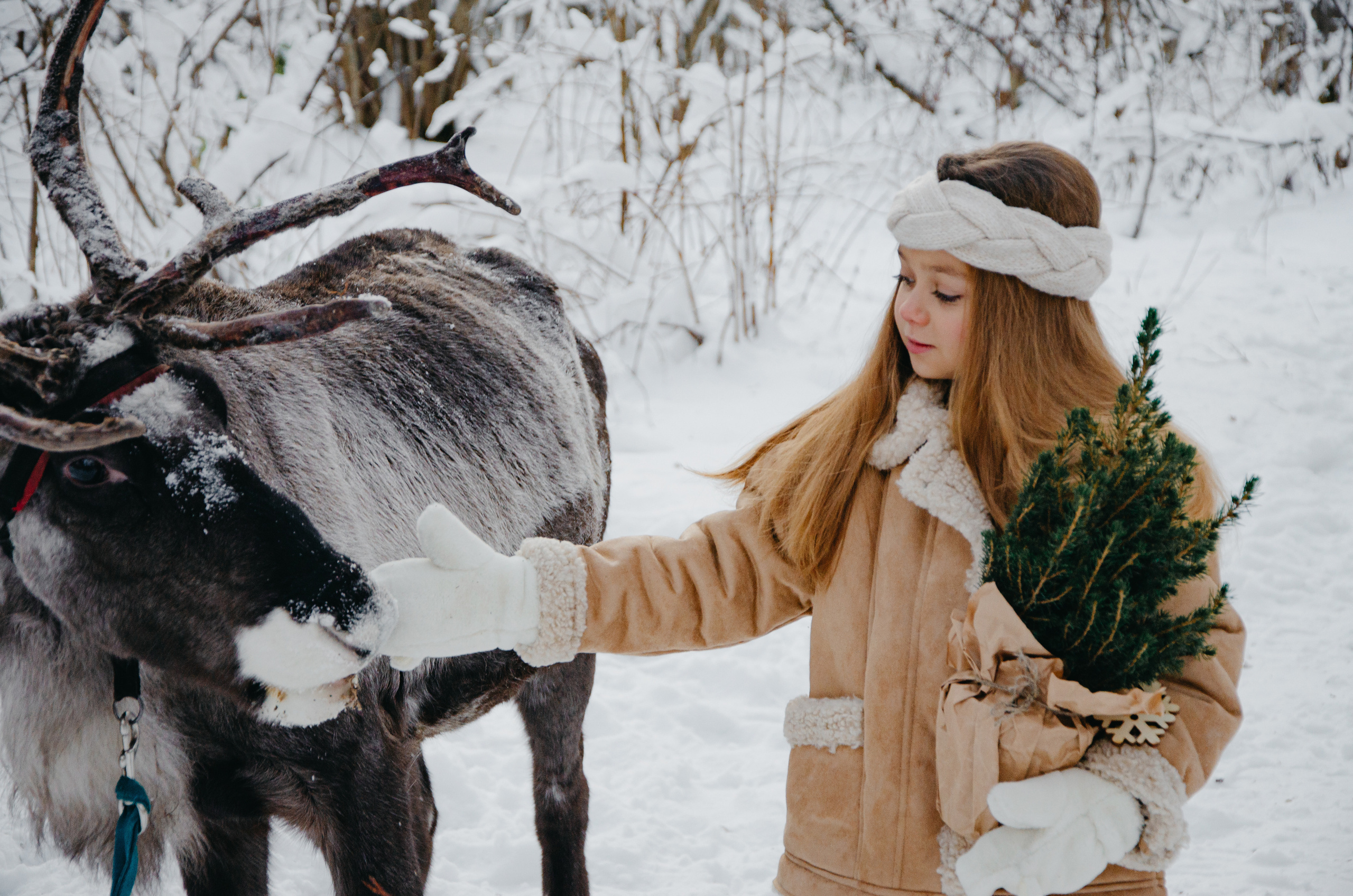 Индивидуальные съемки. Фотограф в Москве