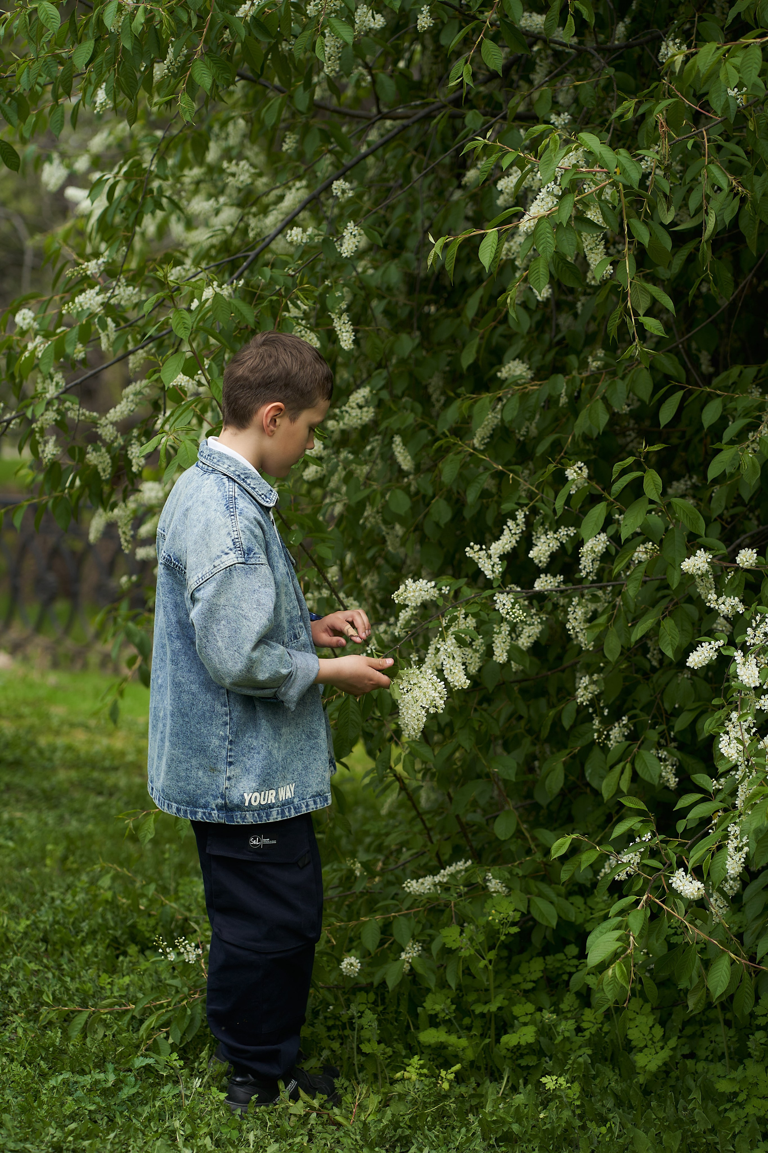 Прогулка в цветении. Анна Катасонова