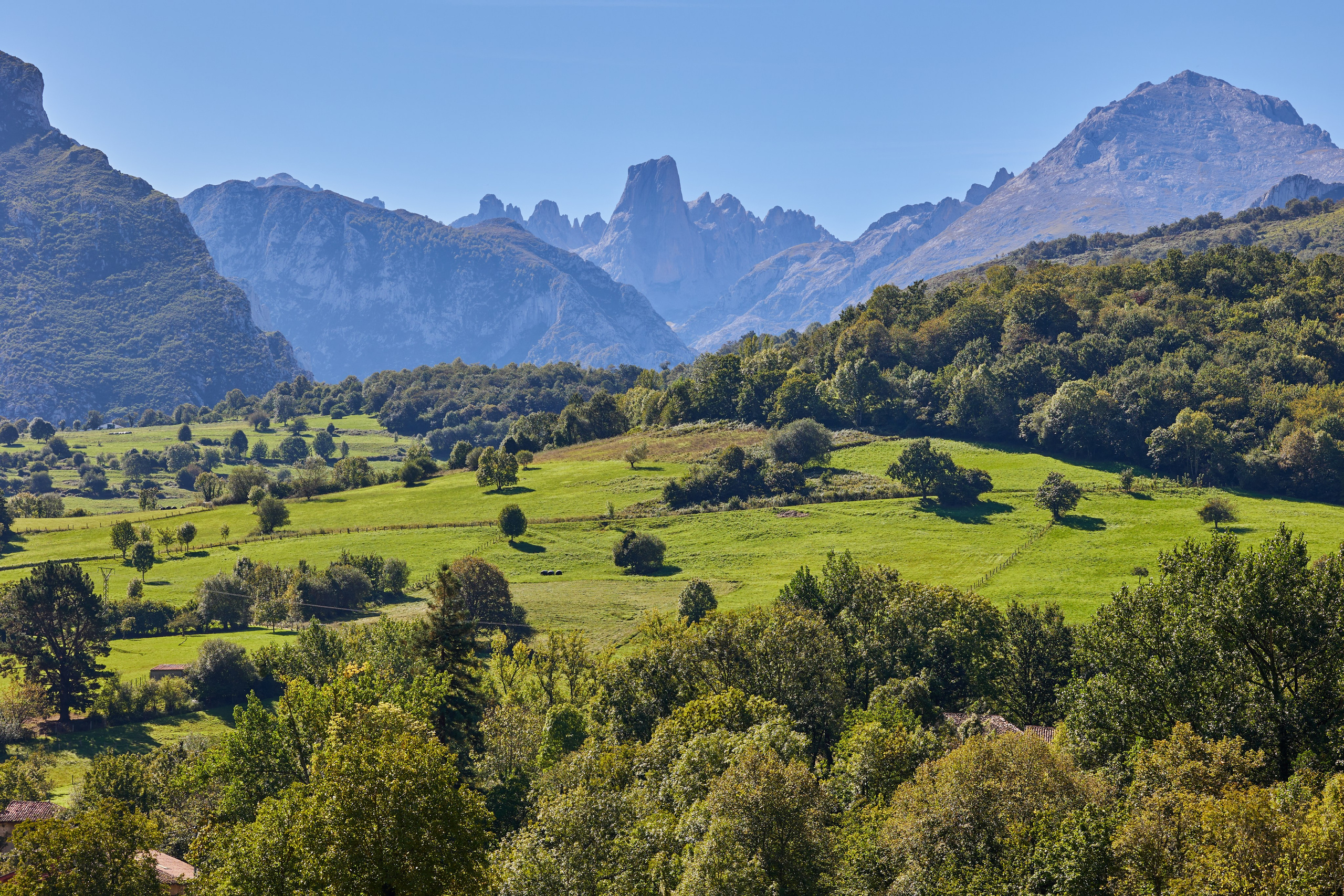 Wide view of a green valley with scattered trees and dramatic peaks in Picos de Europa national park