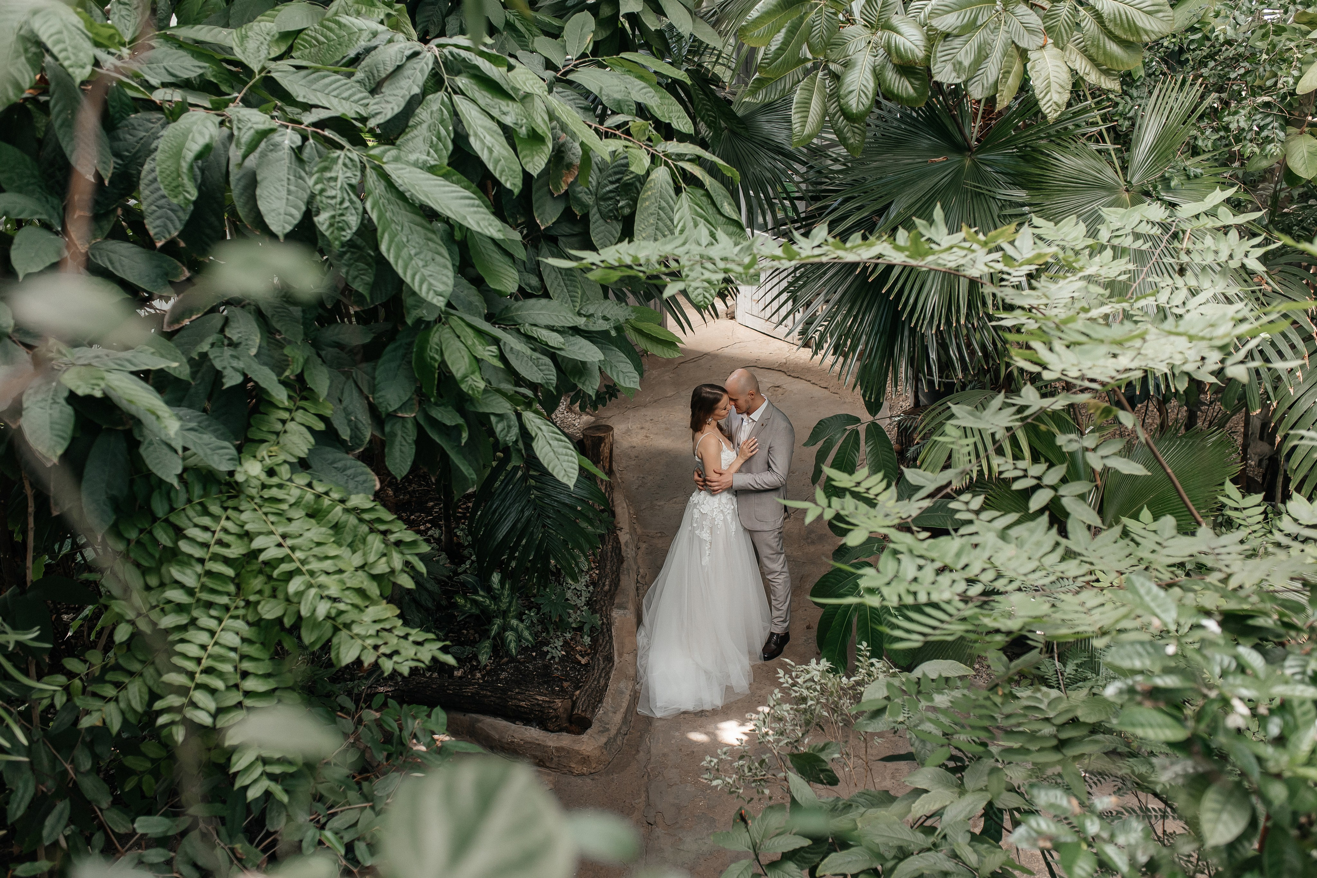 Свадебная фотосессия в Старой фондовой оранжерее Ботанического сада