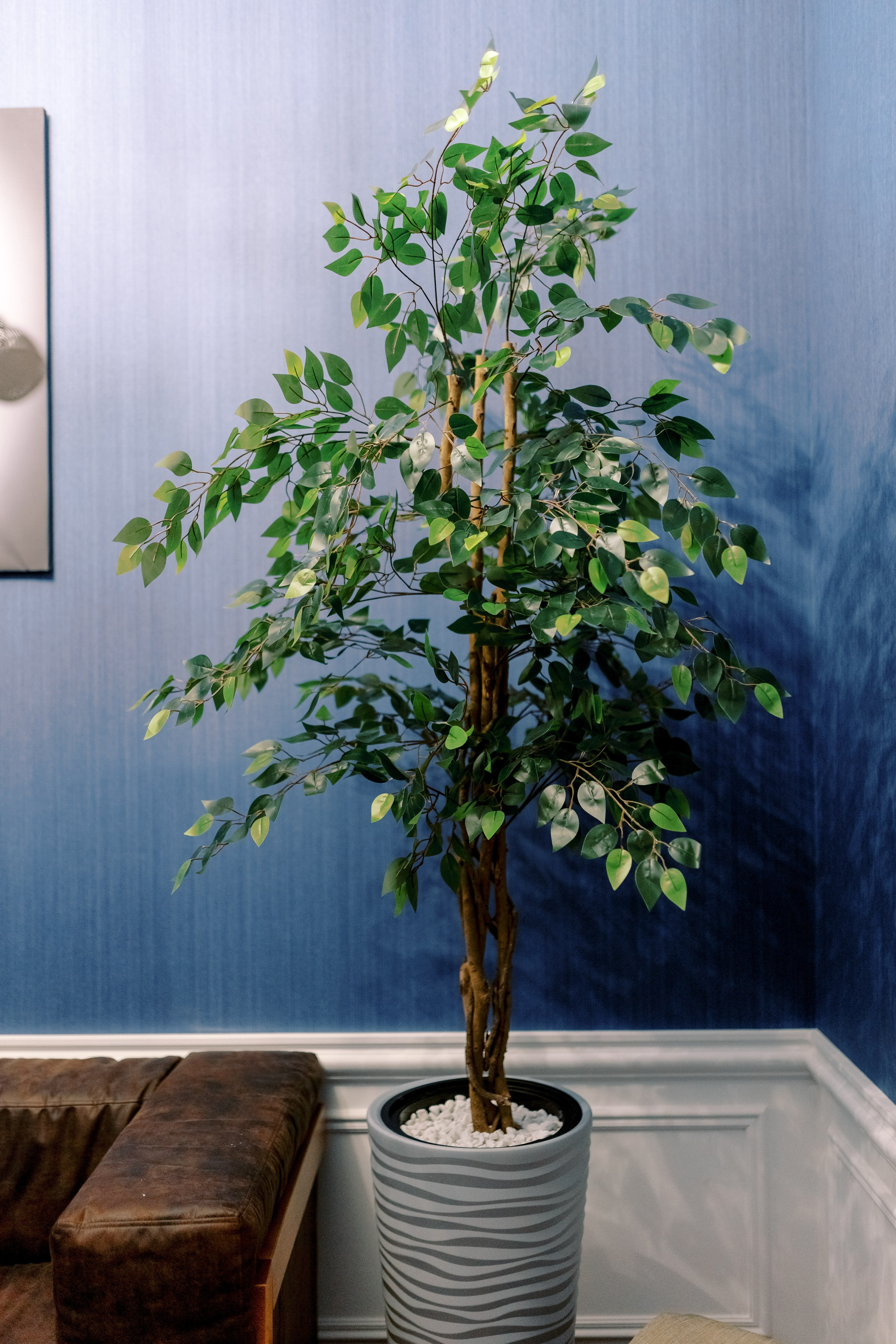 Ambassador. Свадебный фотограф в Нальчике Алим Джаппуев