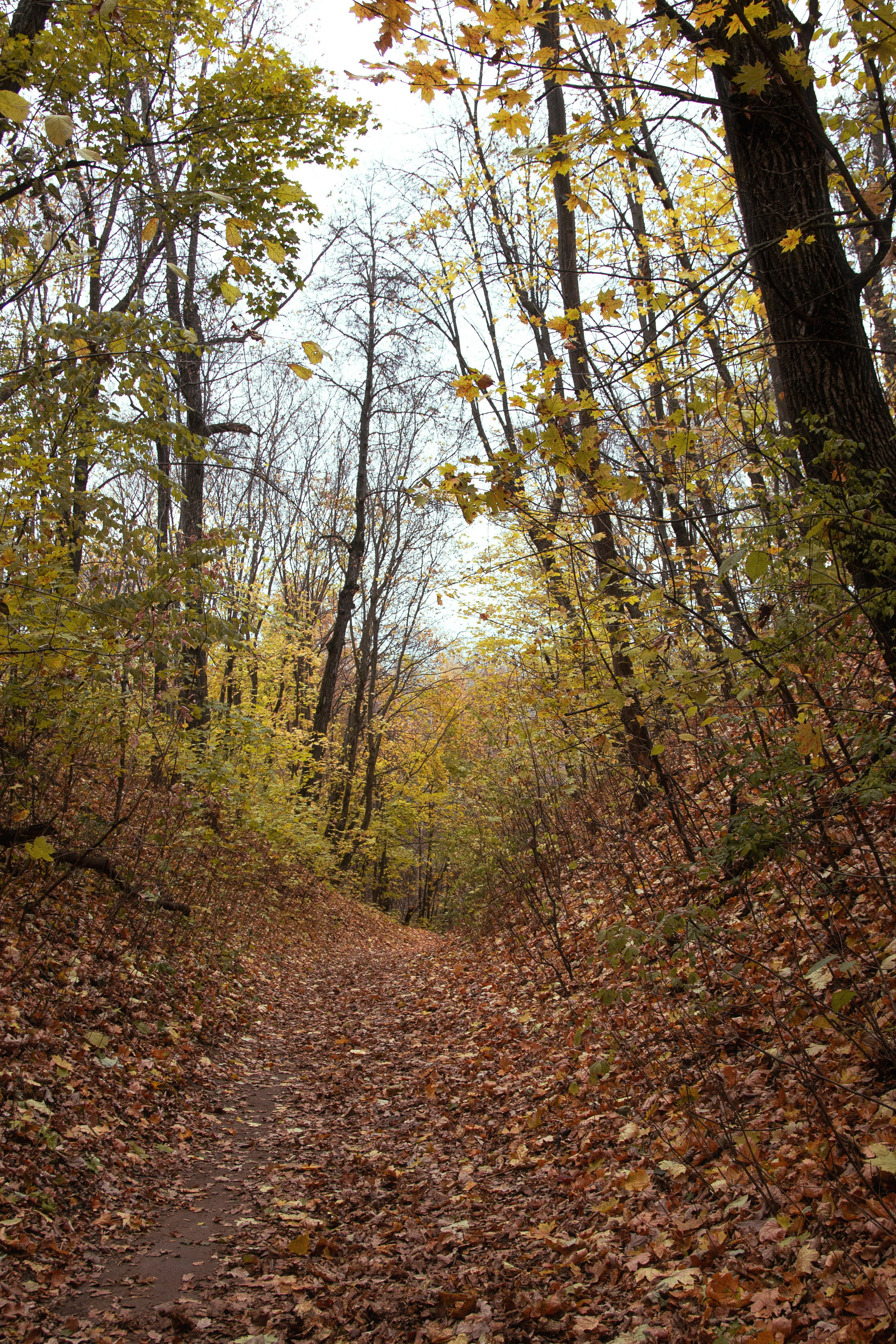 Русско-Немецкая Швейцария. Арсений Марасинский — фотограф в Казани