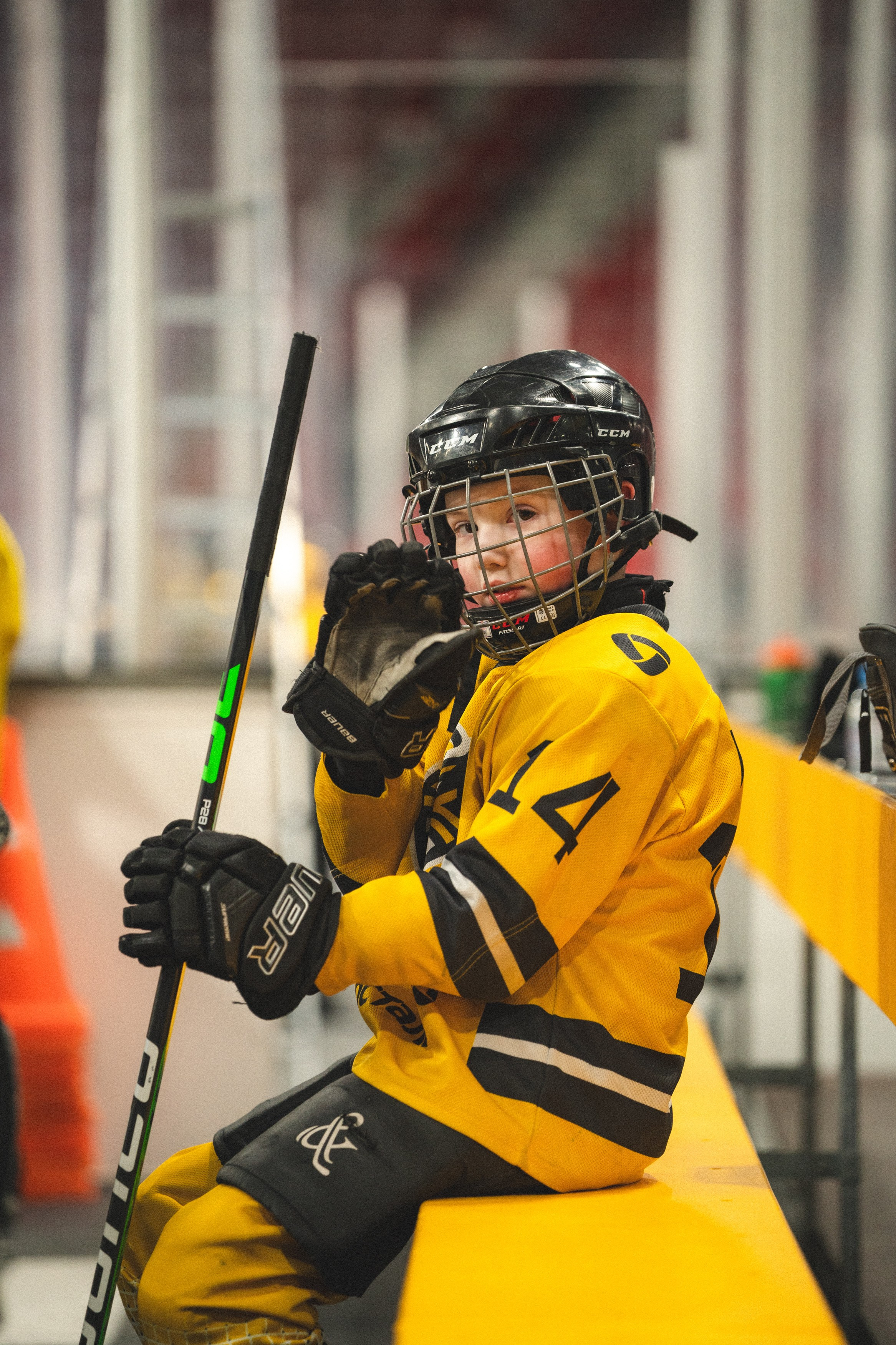 ХК Северсталь (младшая группа). Череповец. Zekons. Фото, видео, нейросети