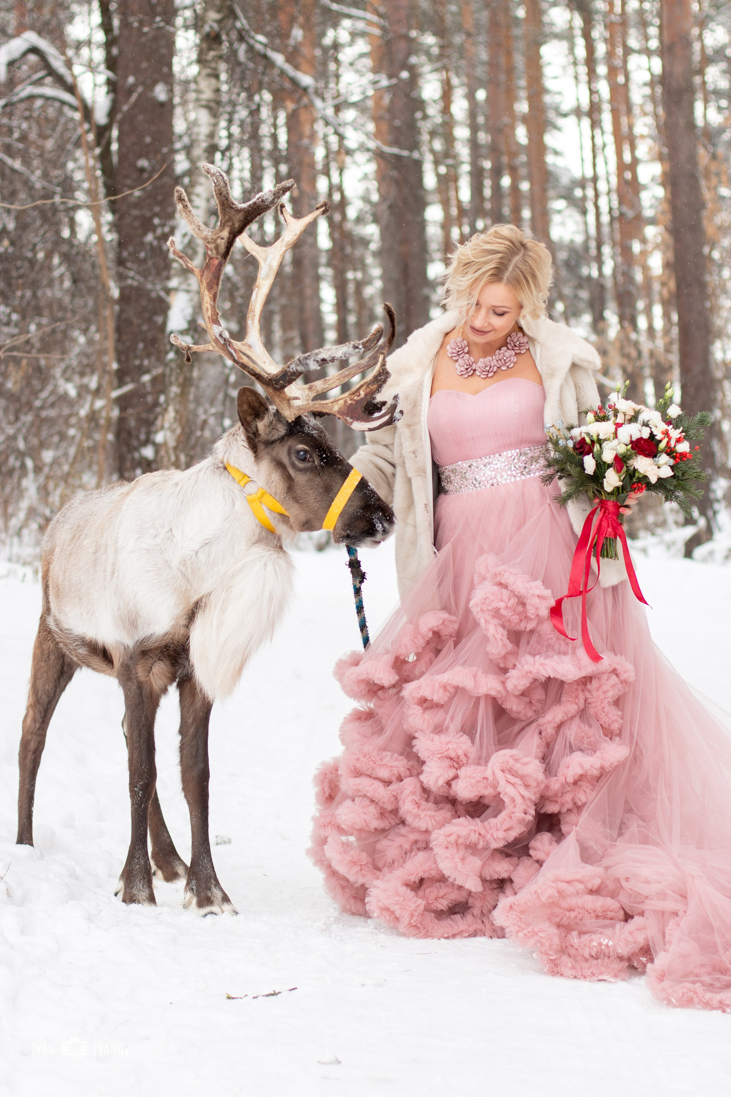 Фотосет с северным оленем. Свадебный и семейный фотограф в Новокузнецке Иван Иванов