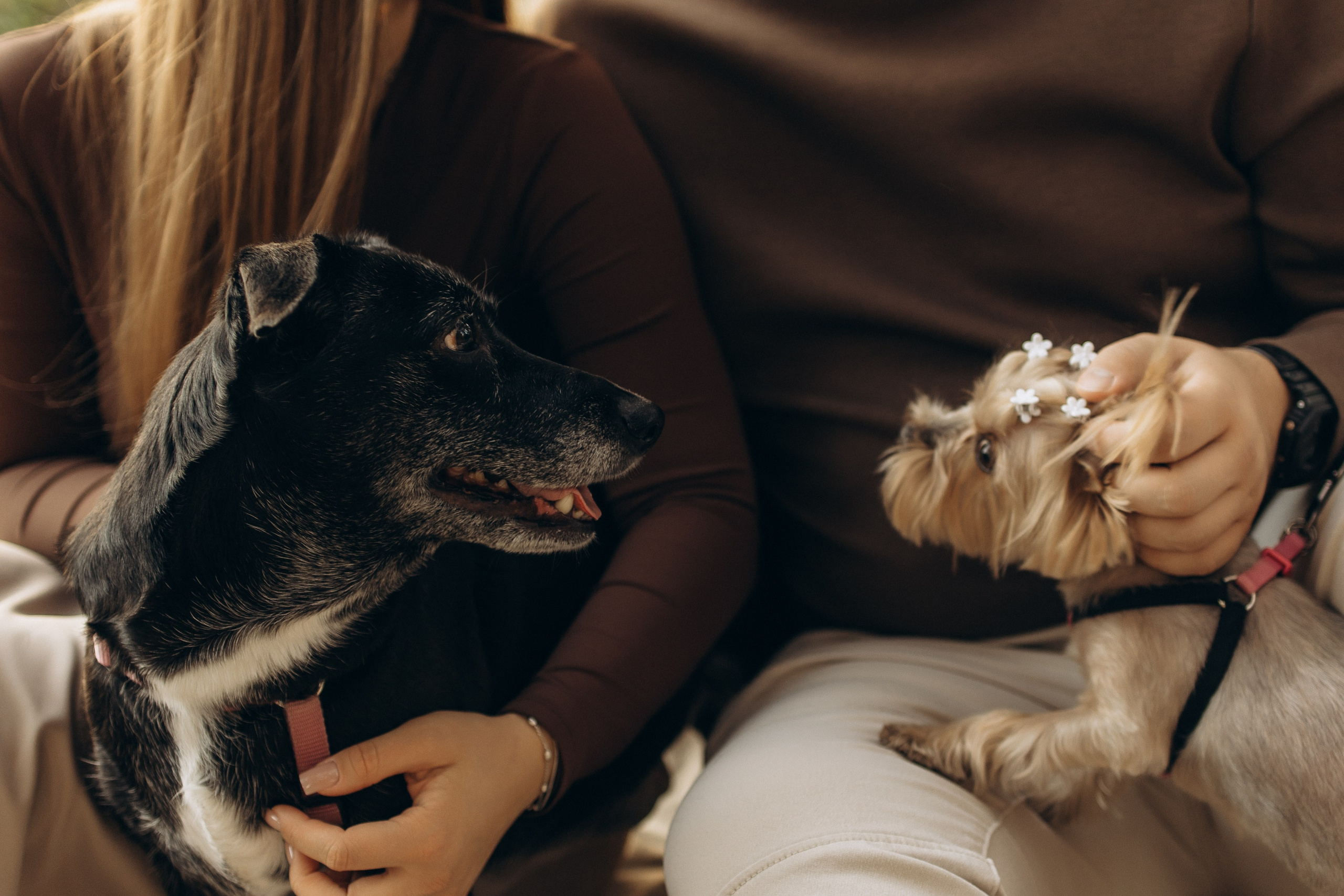Влад и Ксюша. Самый теплый фотограф в Краснодаре Рябоконь Ксения