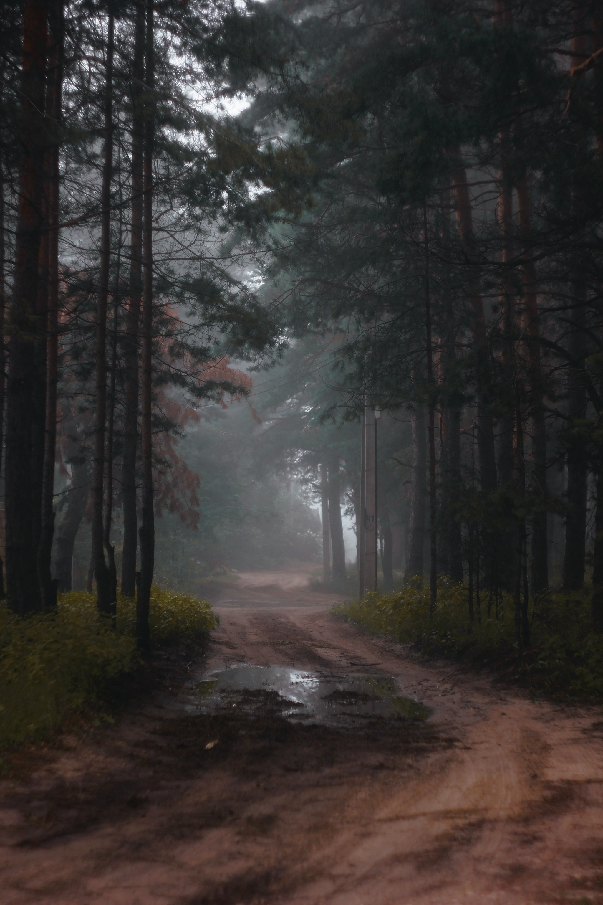 Меланхолия августа. С любовью, фотохудожник