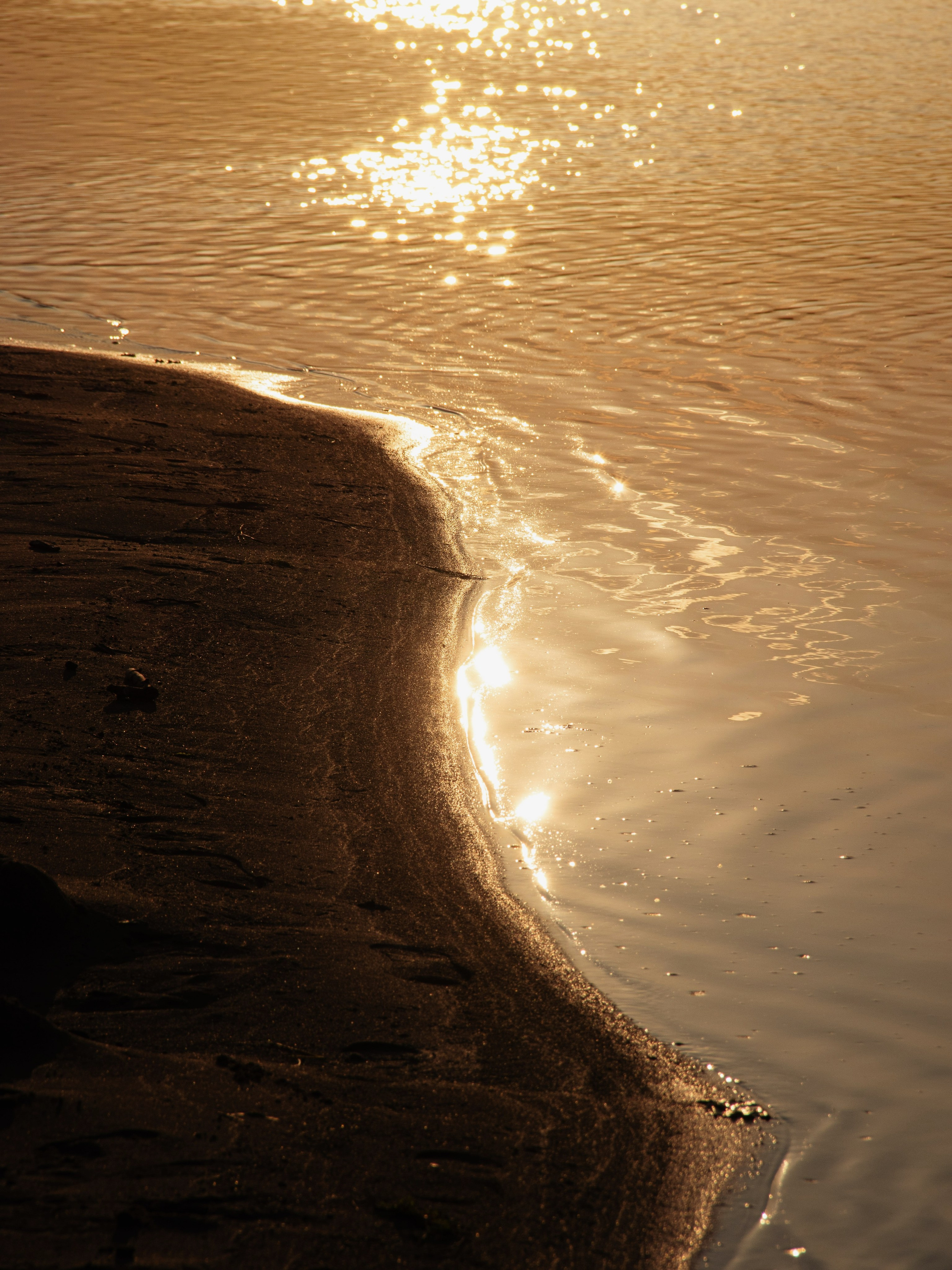 Жидкое золото. С любовью, фотохудожник