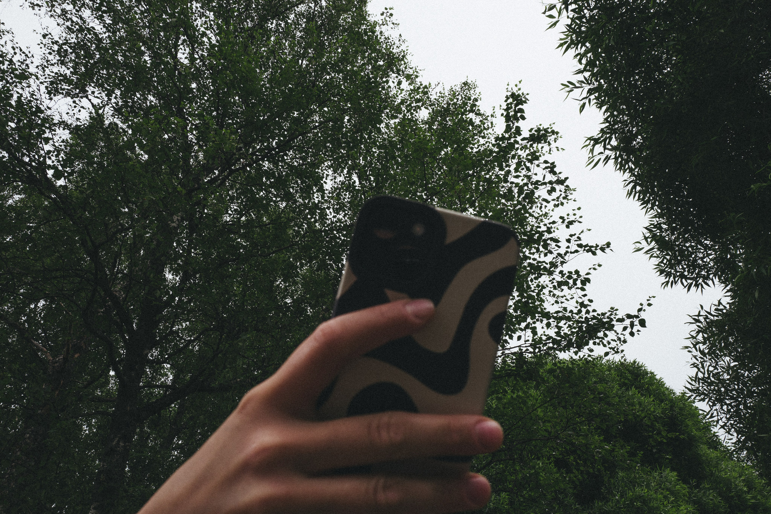 Happy Birthday, Alina ♥️. <3