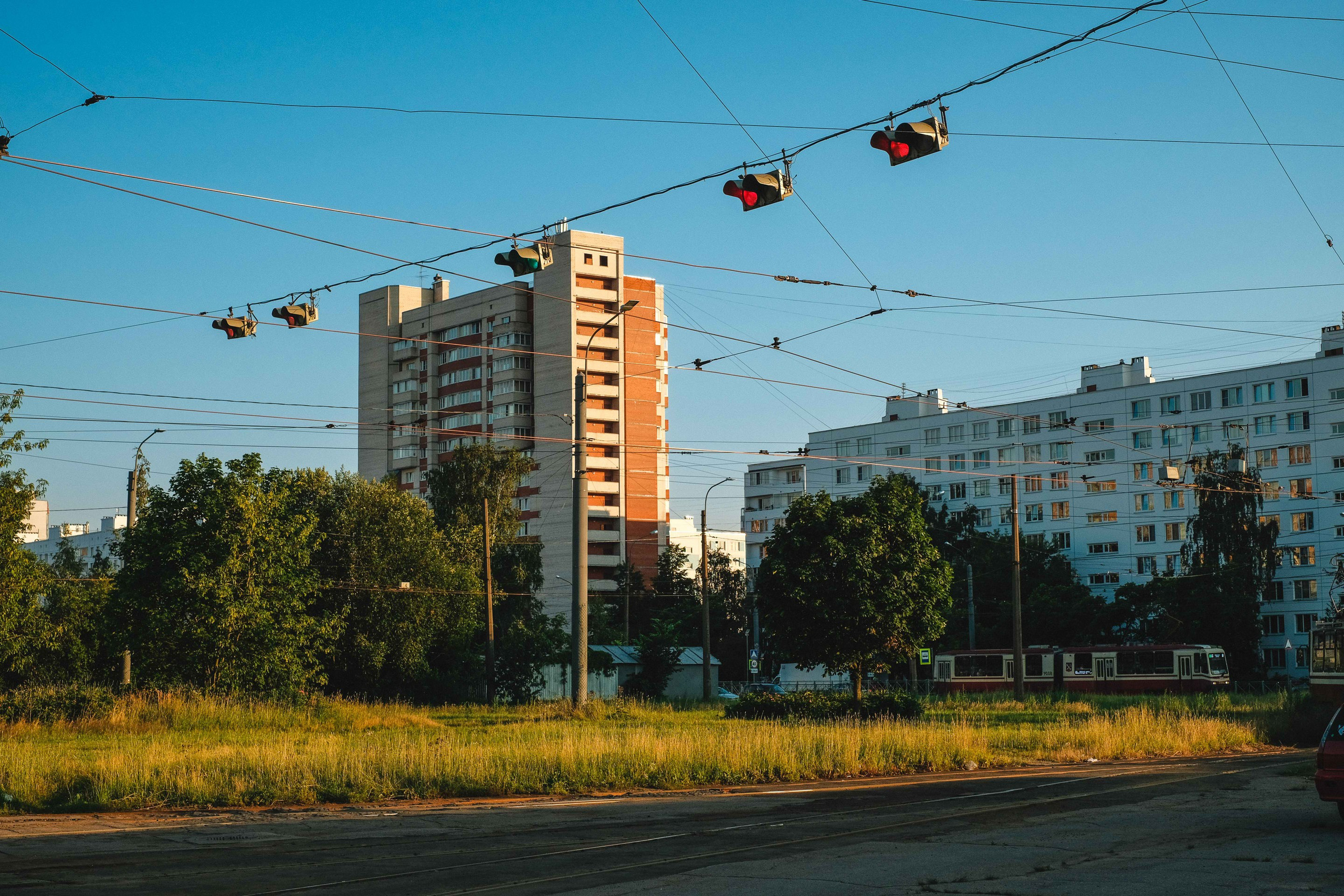 2022.07. Фотограф Алексей Алексеев