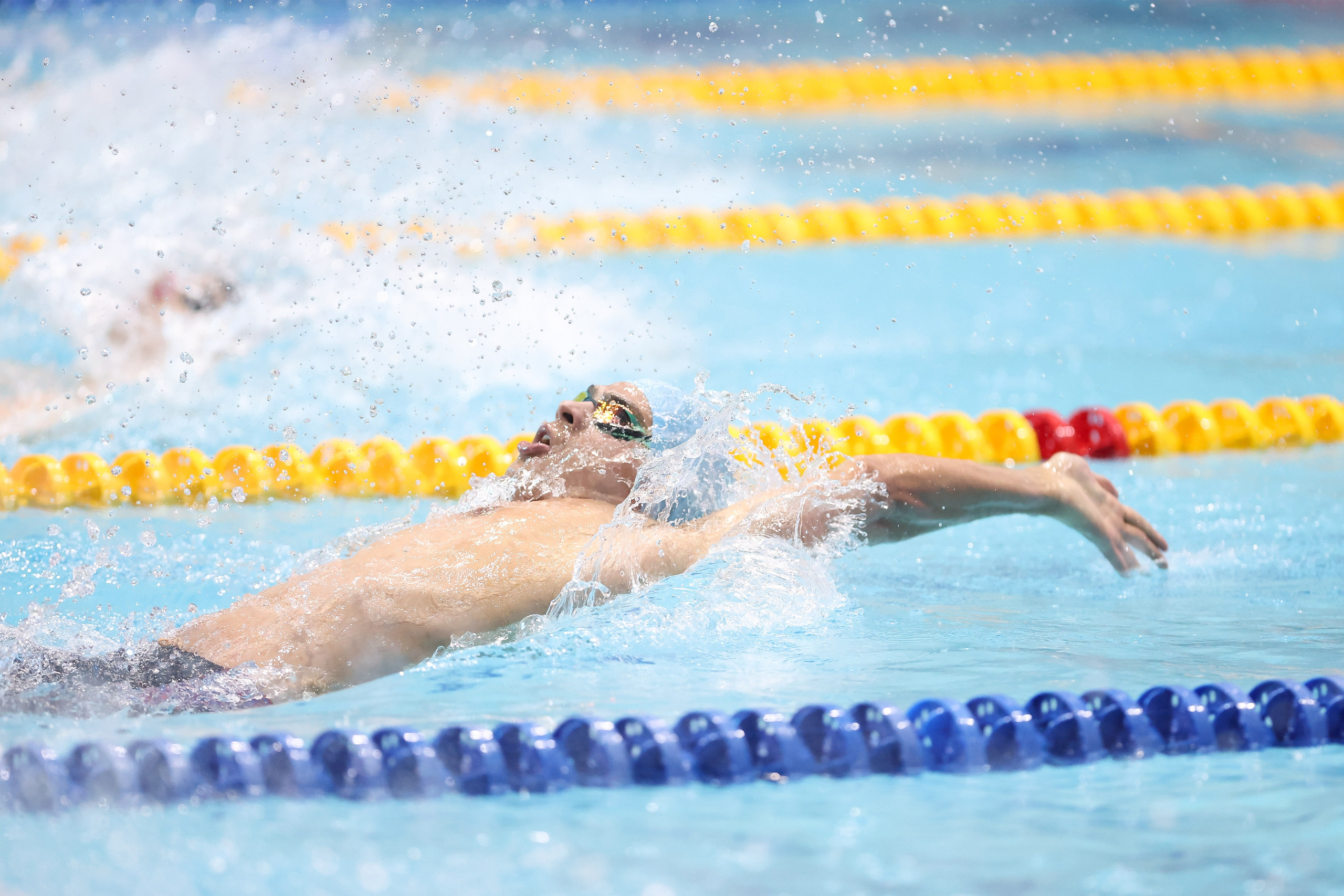 Чемпионат России по плаванию 25 м 20-25.11.2023. Спортивный и репортажный фотограф Антон Тереханов