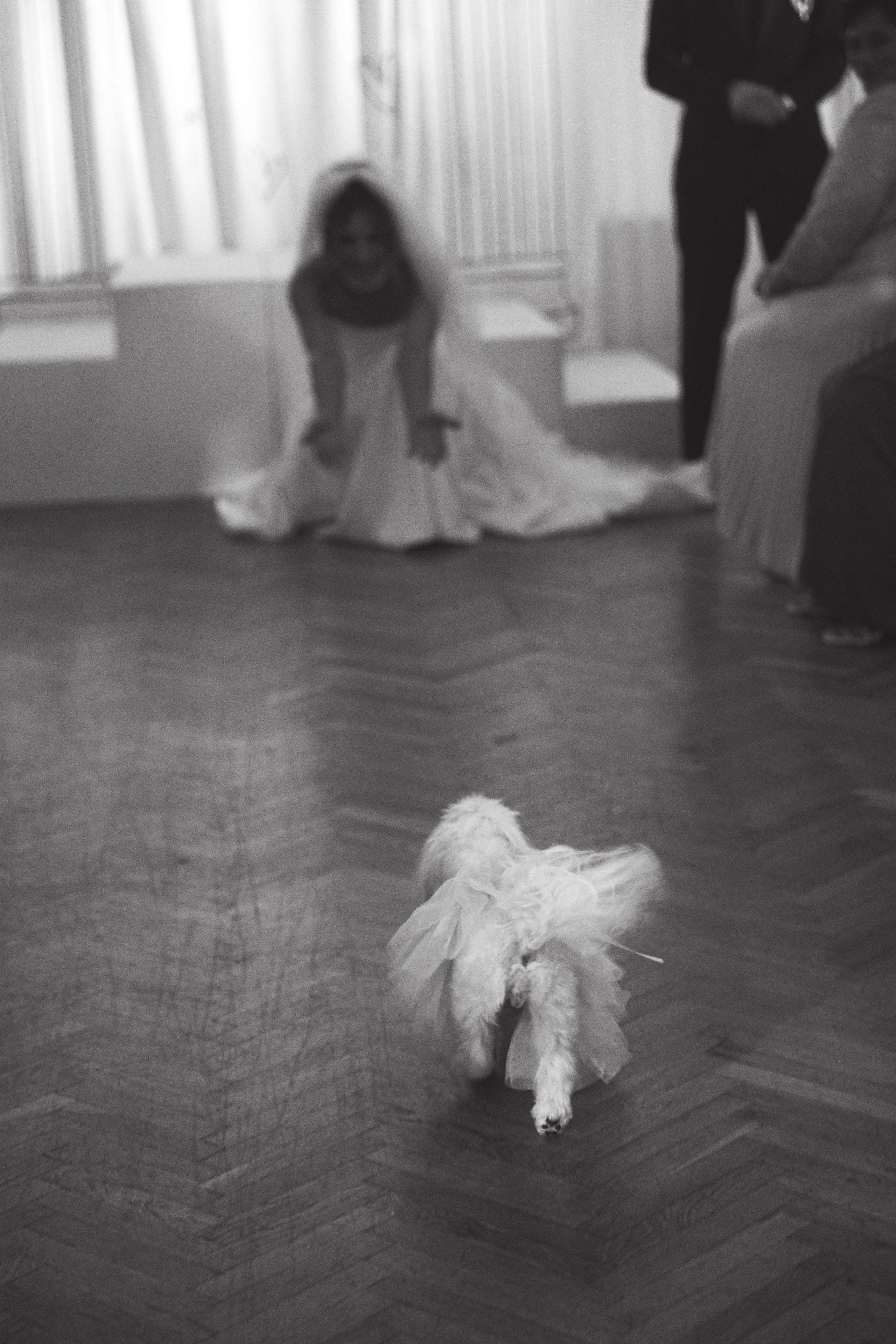 Юля и Саша. Свадебный фотограф в Краснодаре и по всему ЮФО и Миру Ольга Гусева