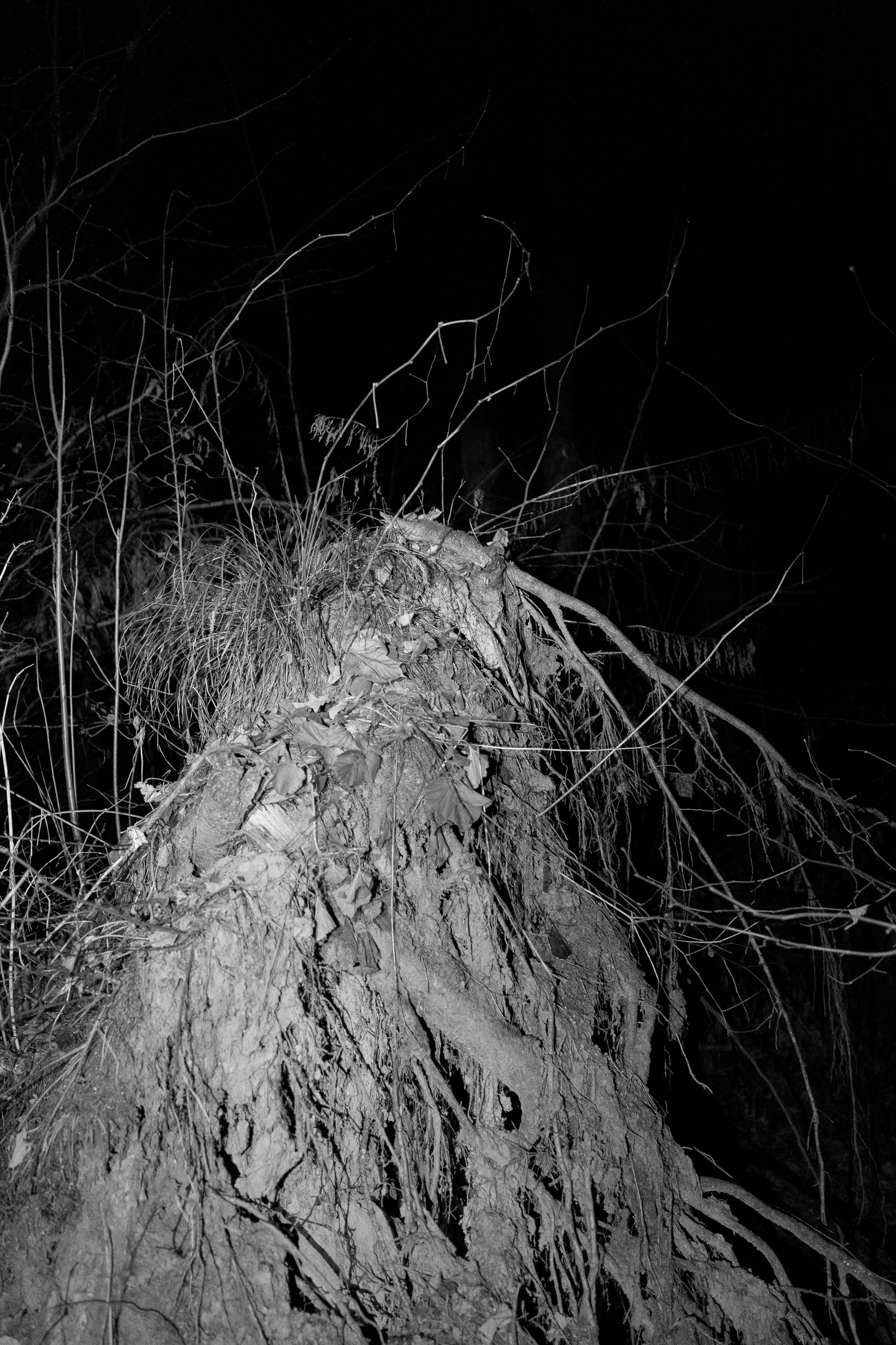 Юлия Леонова — фотограф, визуальный художник Минск