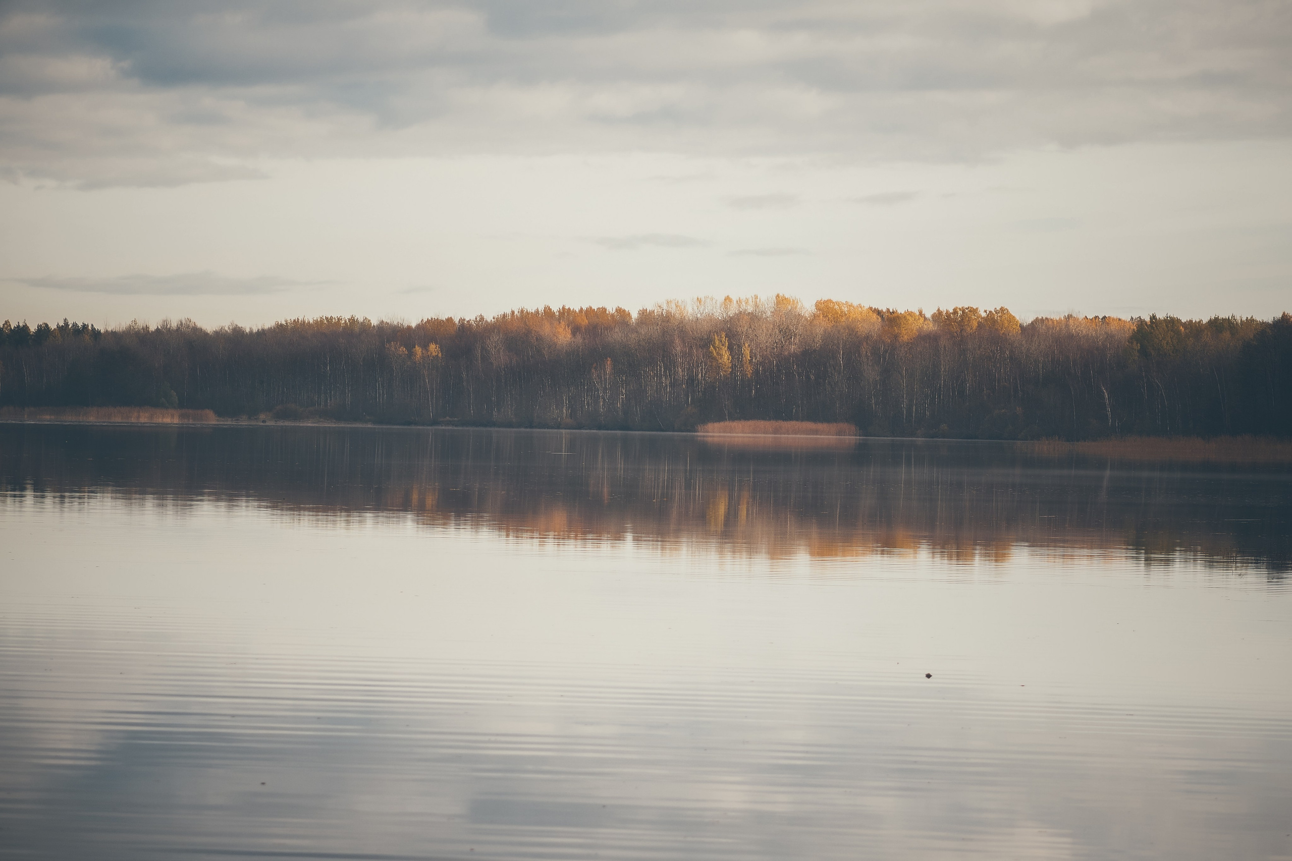 Сестрорецк. Свадебный фотограф Копков Геннадий
