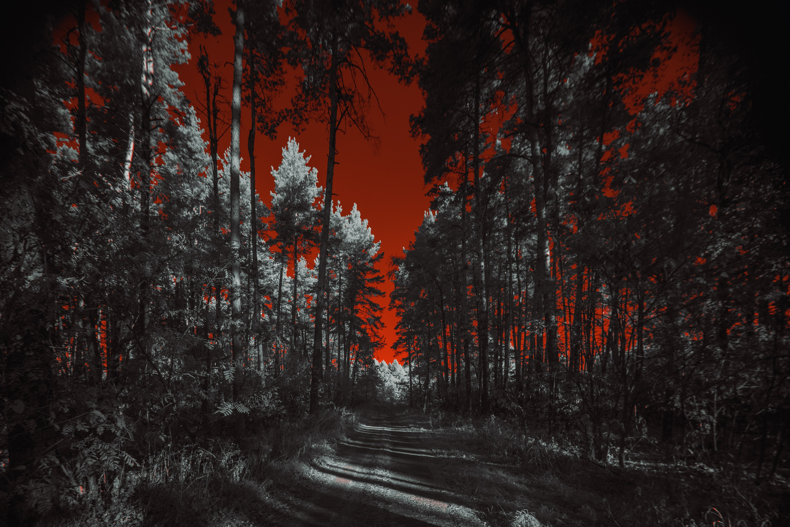 Color — Цветная