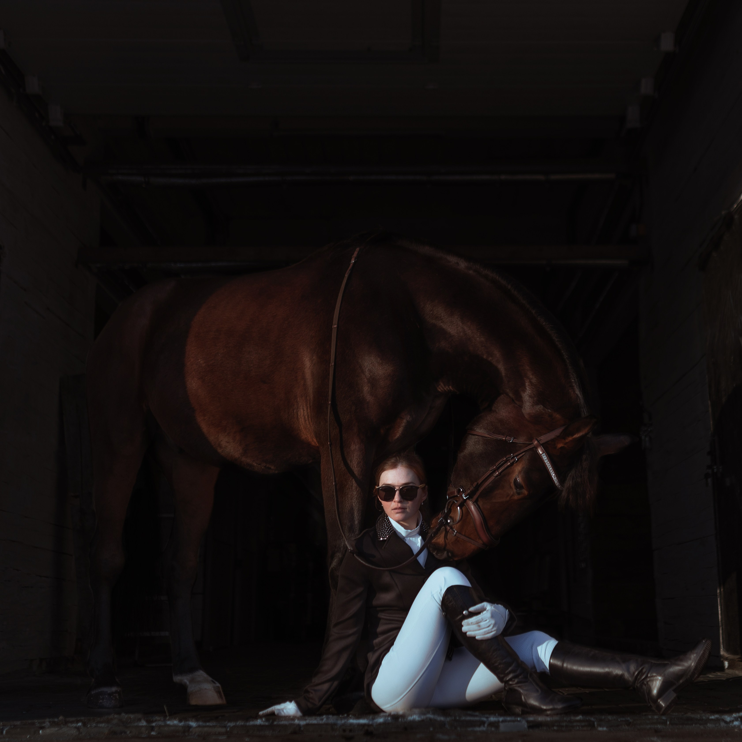 Фотосессии с лошадьми. Главная